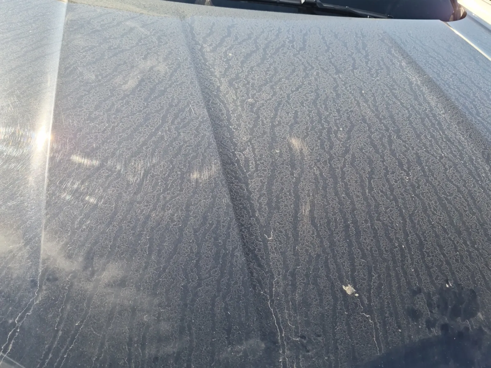 Emission Sticker Photo