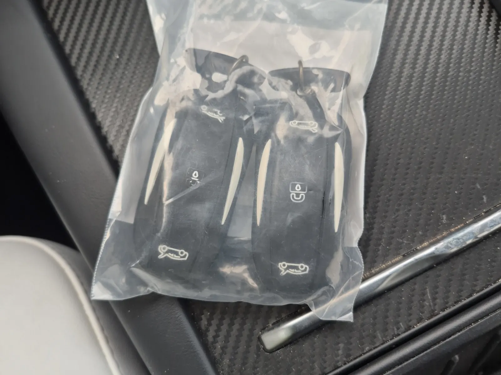Keys/Fobs/Manual Photo