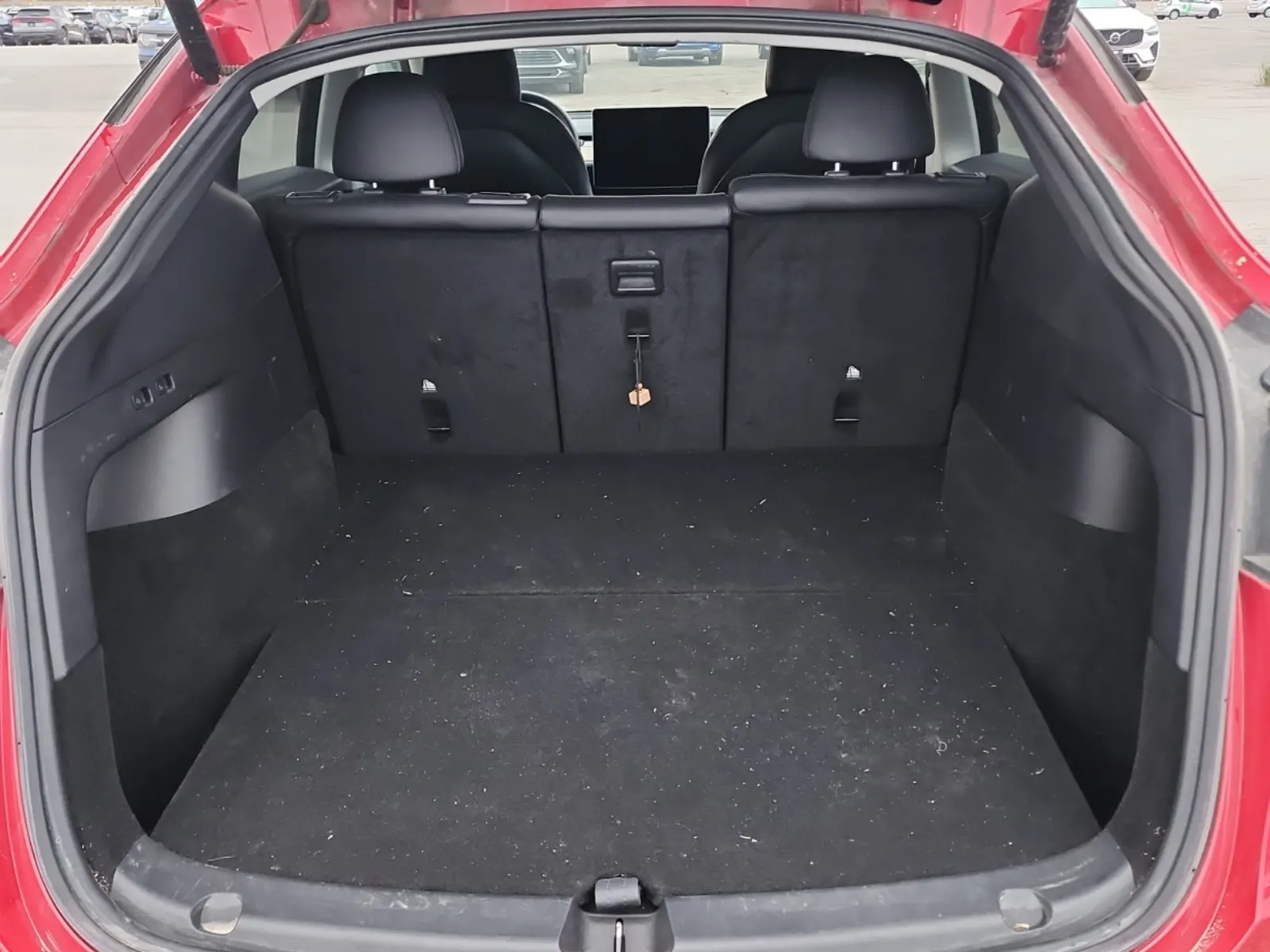 Cargo Area Photo