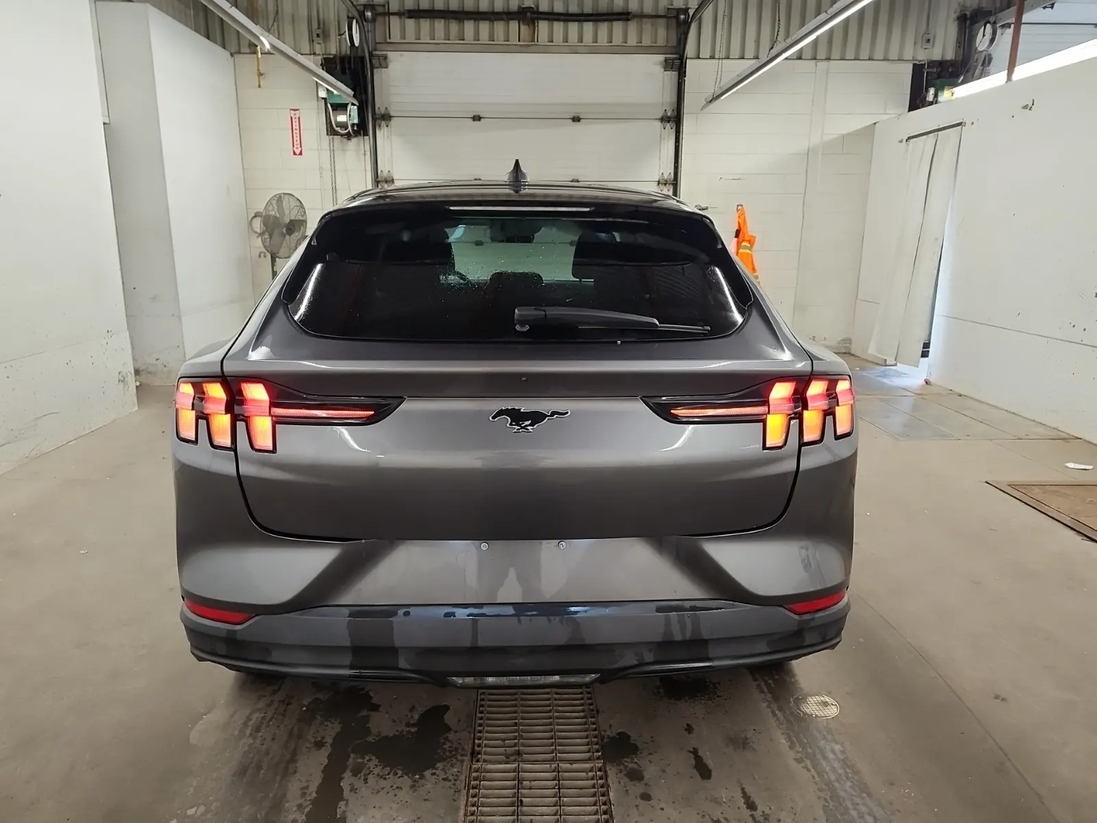 Full Rear Photo