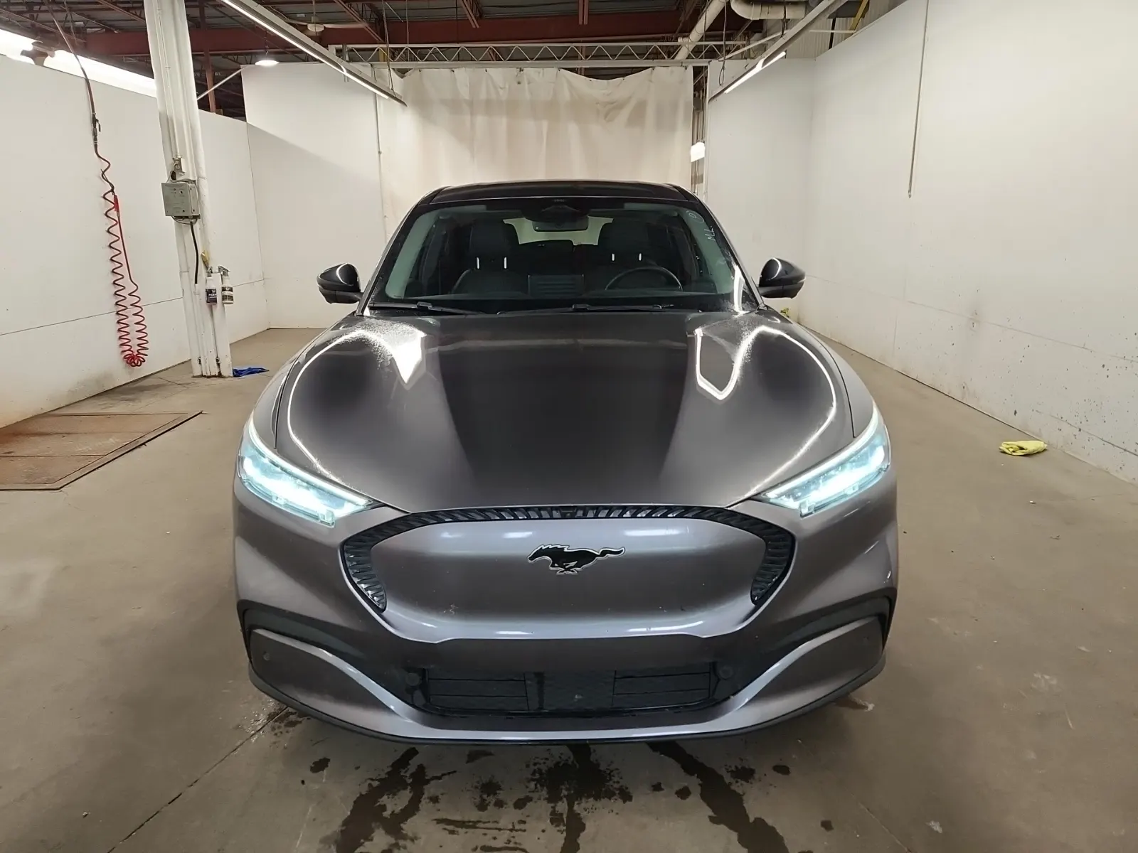 Full Front Photo