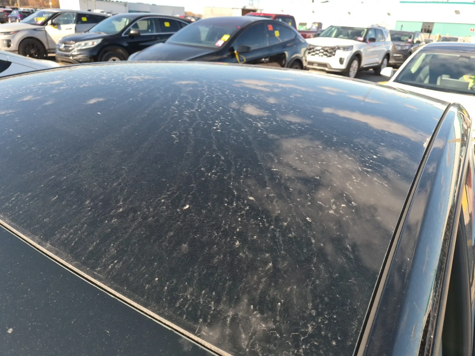 Exterior Roof Photo