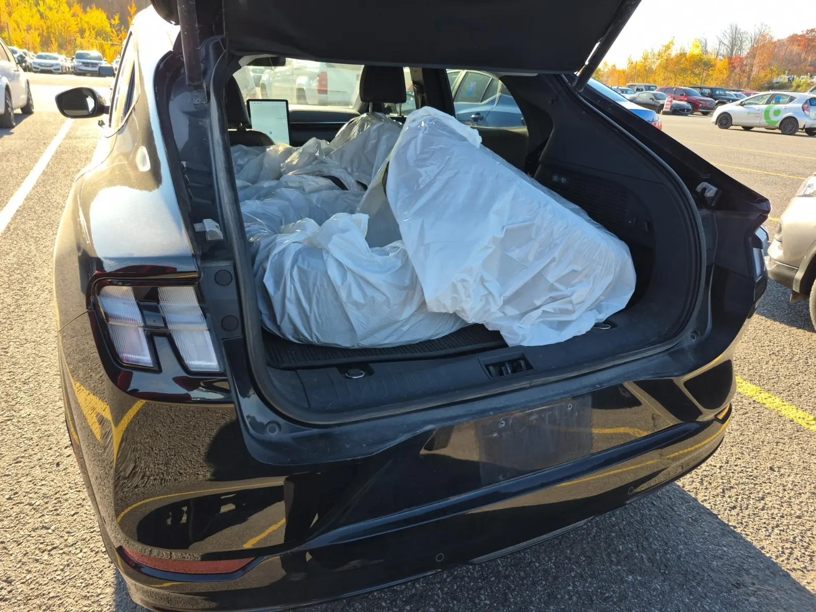 Cargo Area Photo