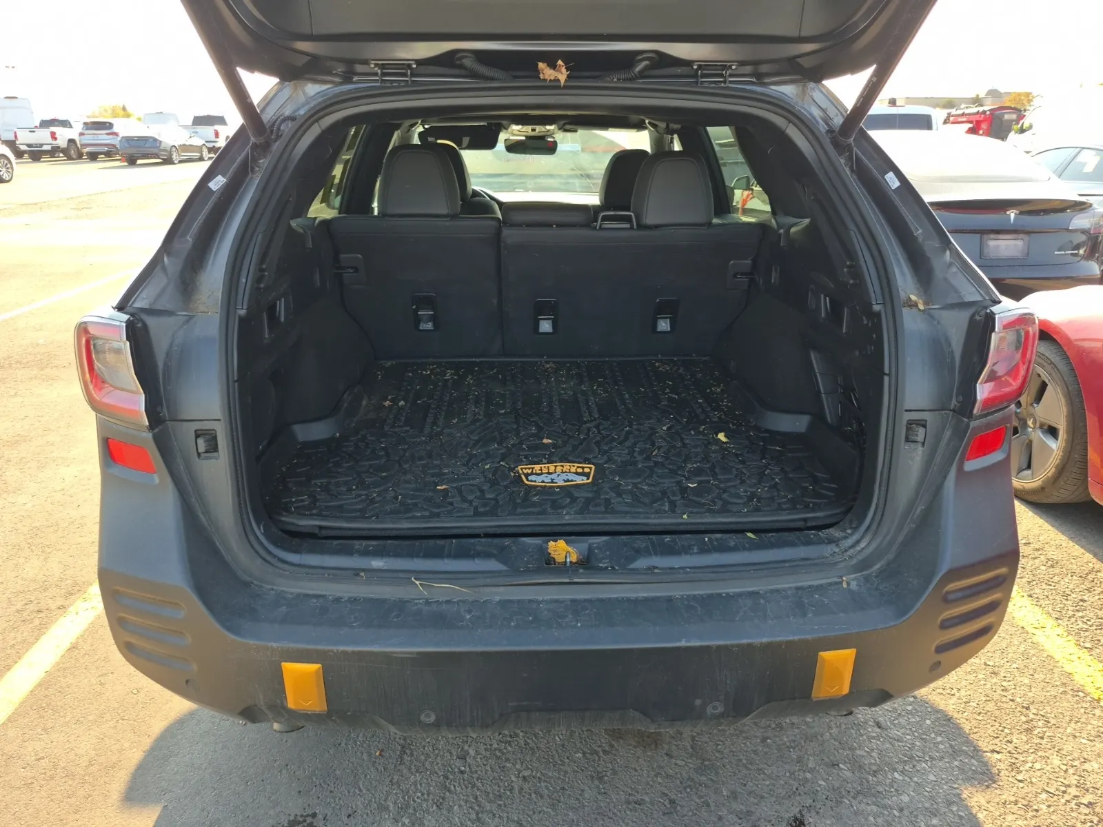 Cargo Area Photo