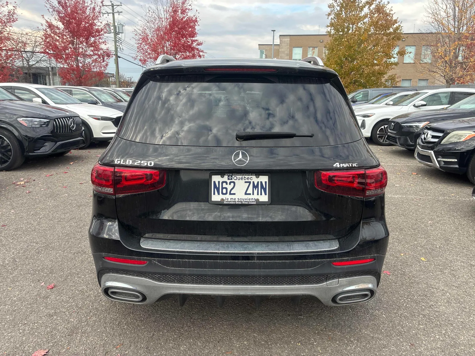 Back