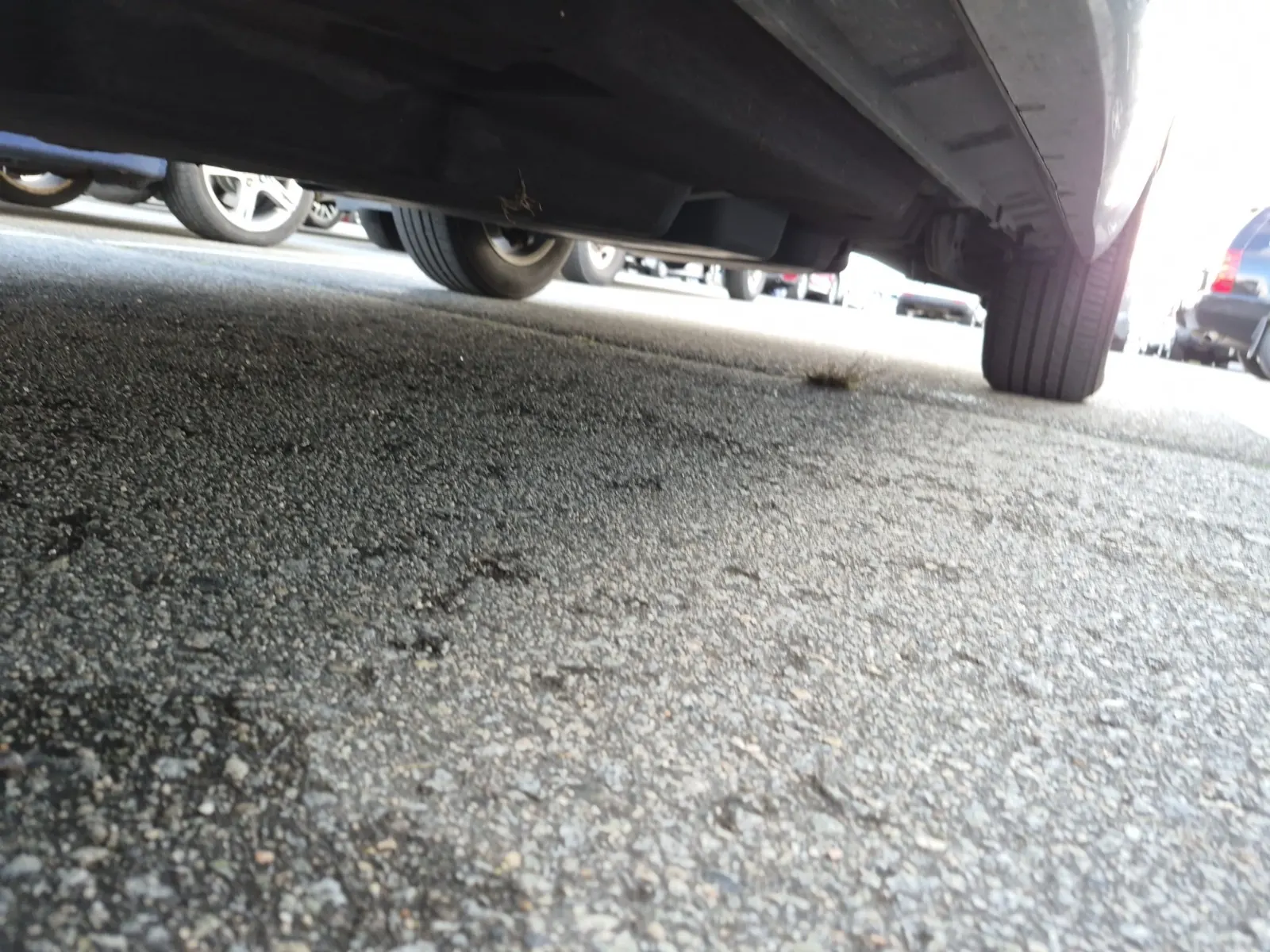 Undercarriage - Driver Photo