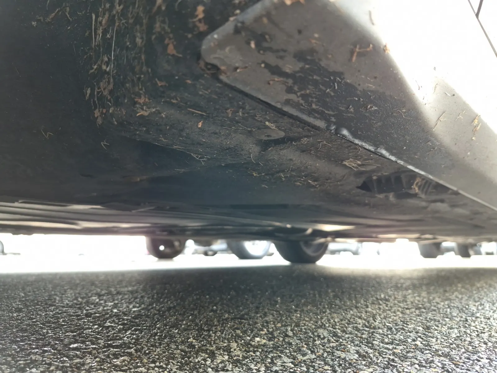 Undercarriage - Driver Photo