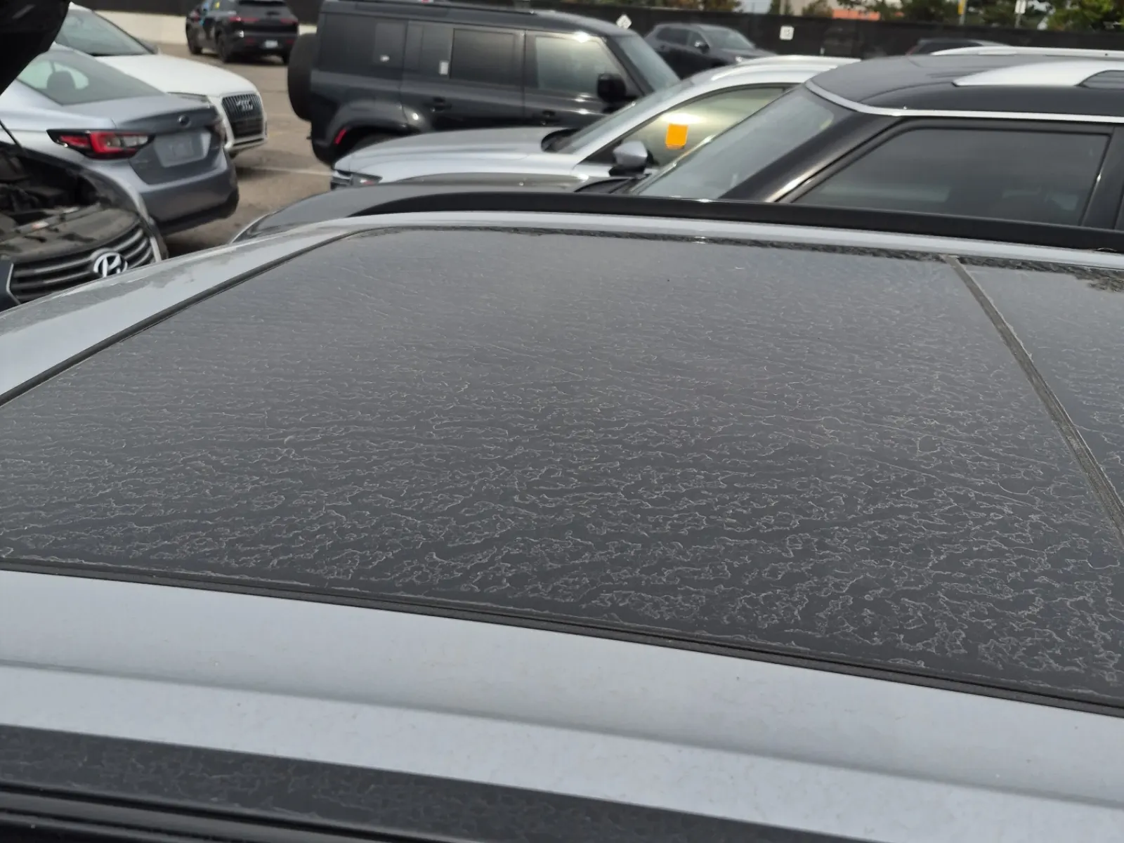 Exterior Roof Photo