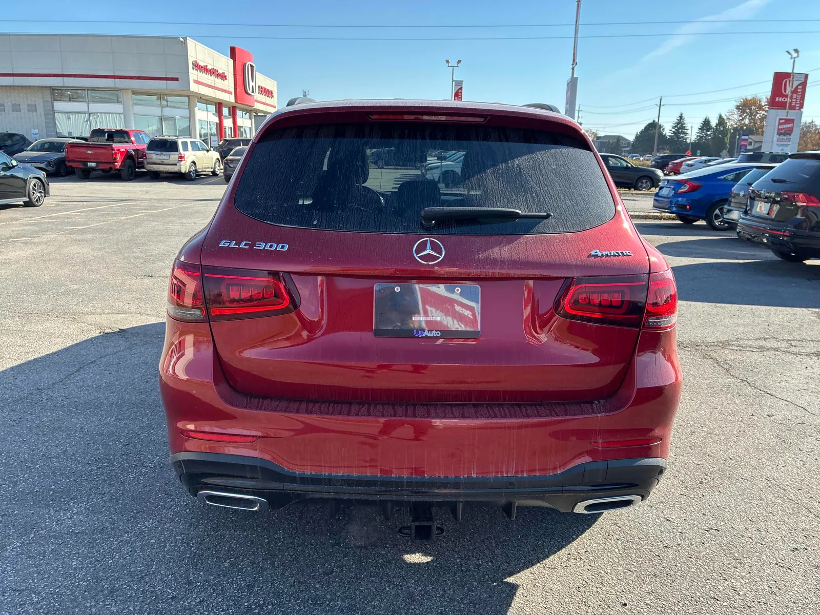 Back