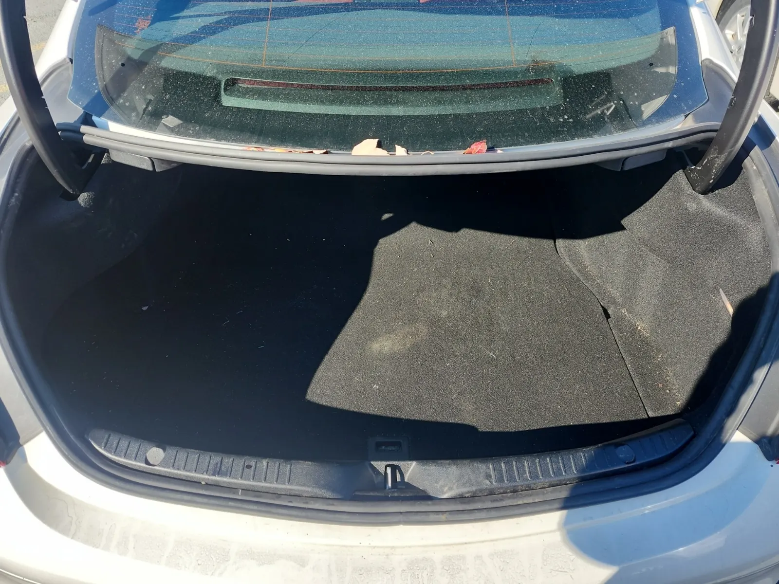 Cargo Area Photo