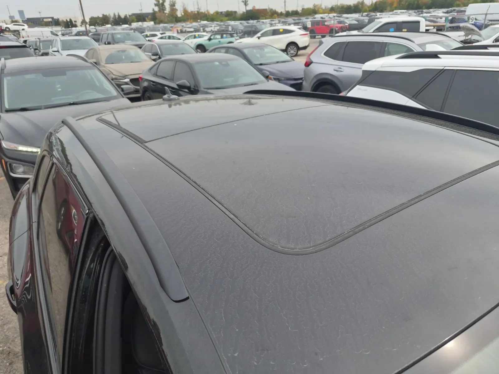 Exterior Roof Photo