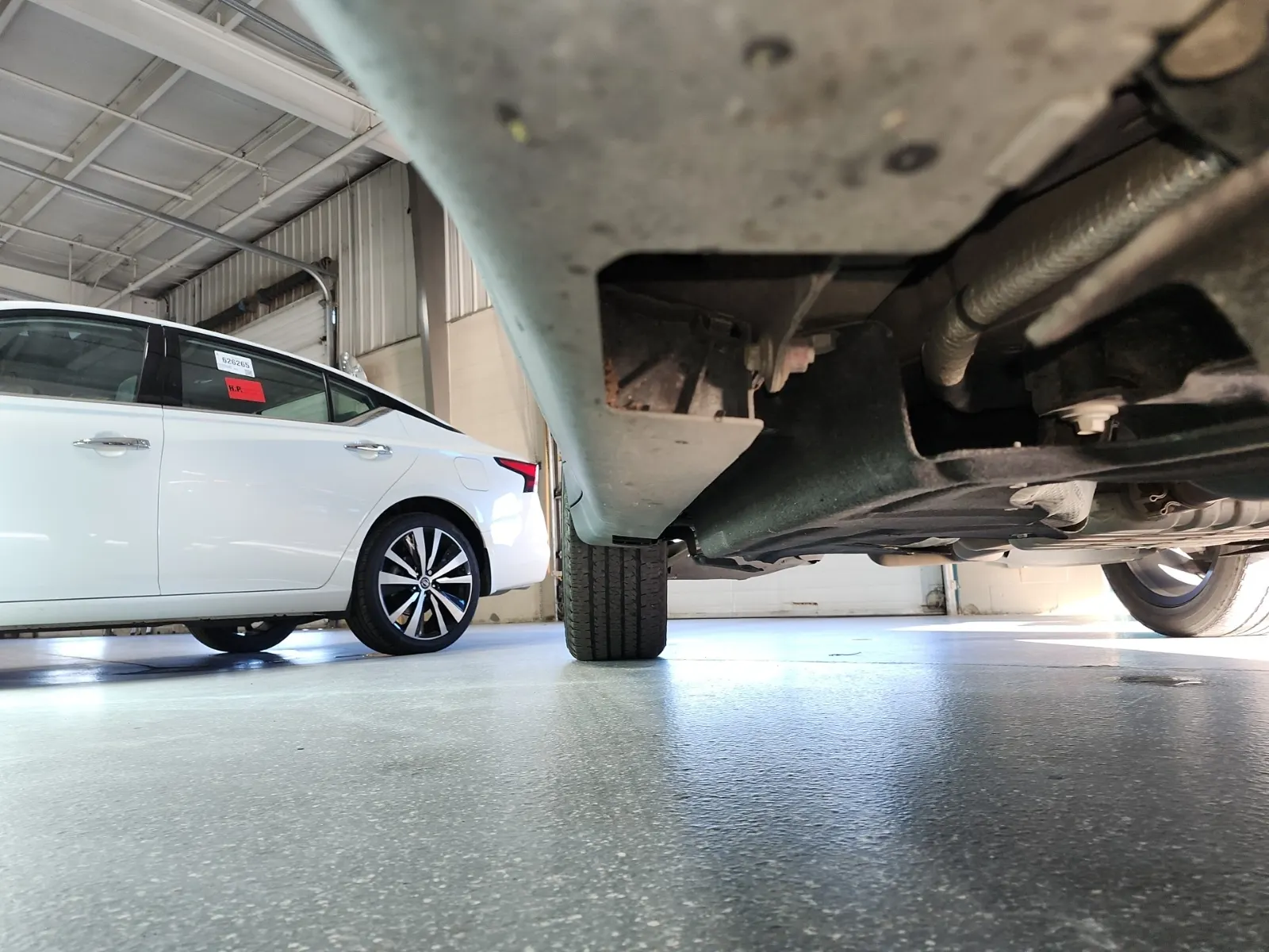 Undercarriage - Passenger Photo