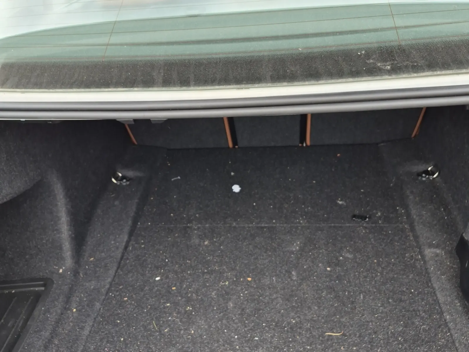 Cargo Area Photo