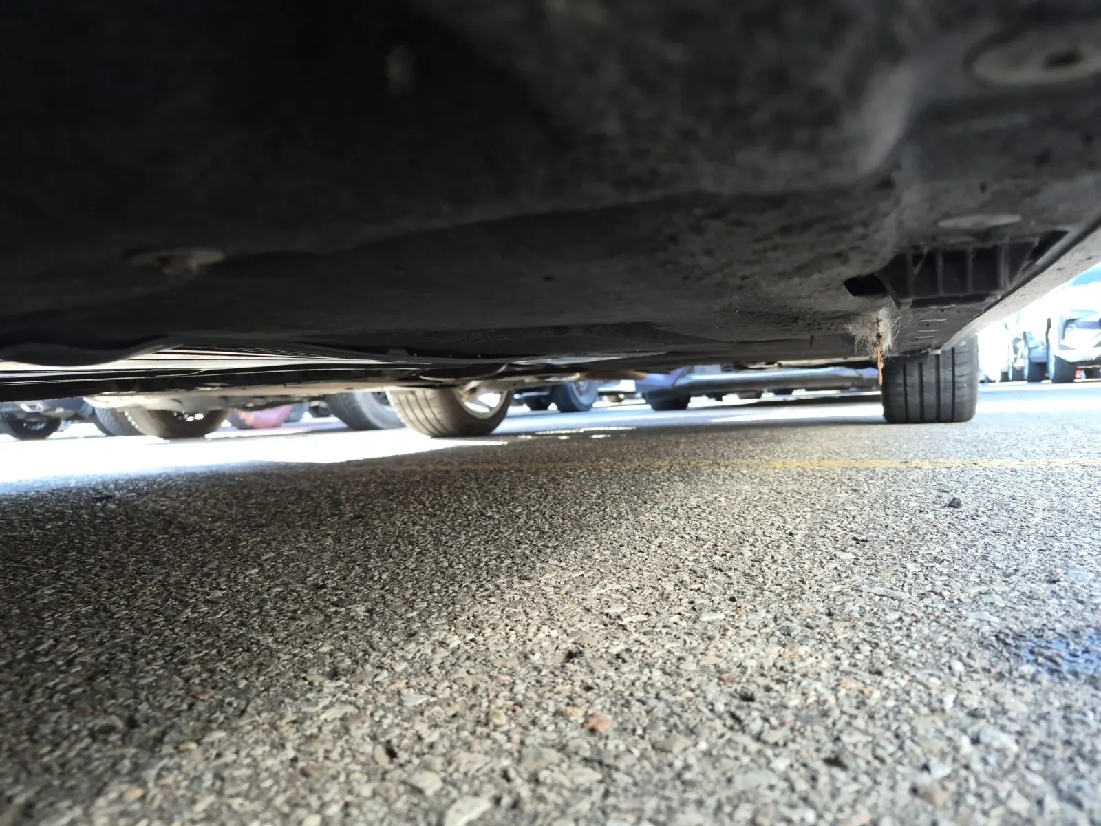 Undercarriage - Driver Photo