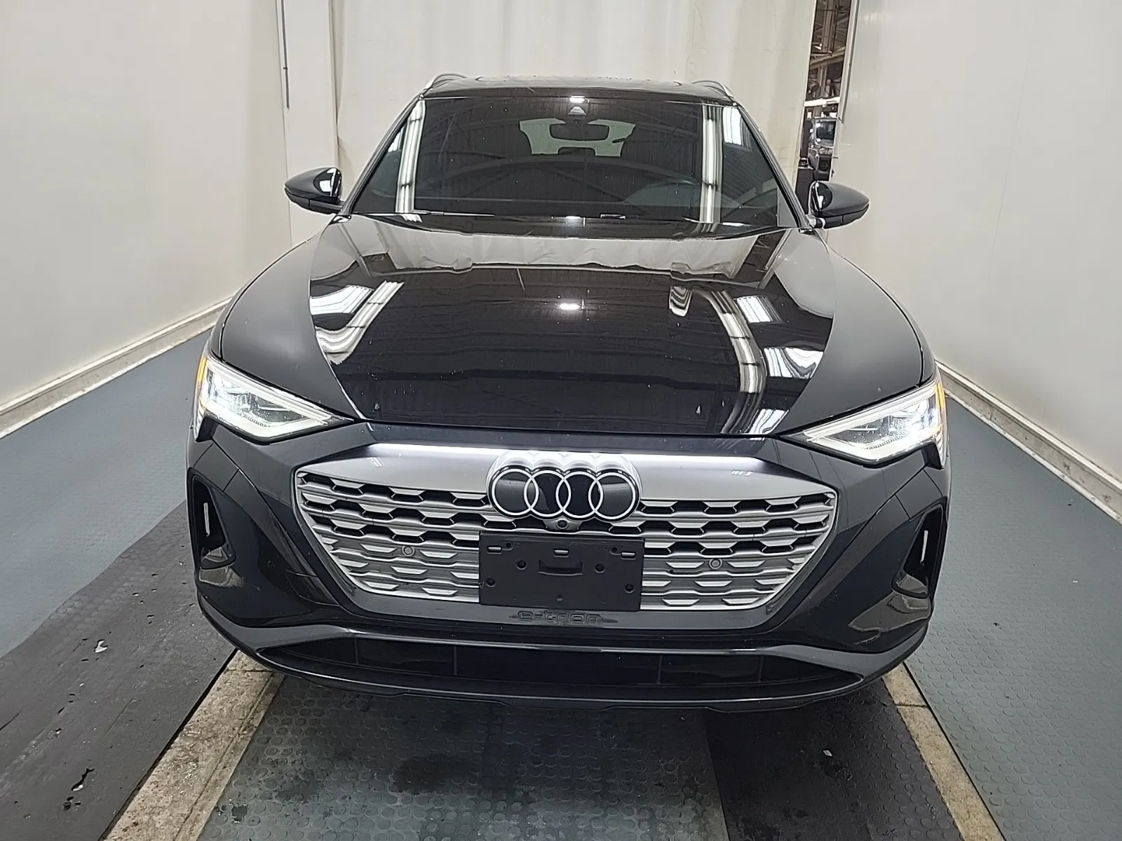 Full Front Photo