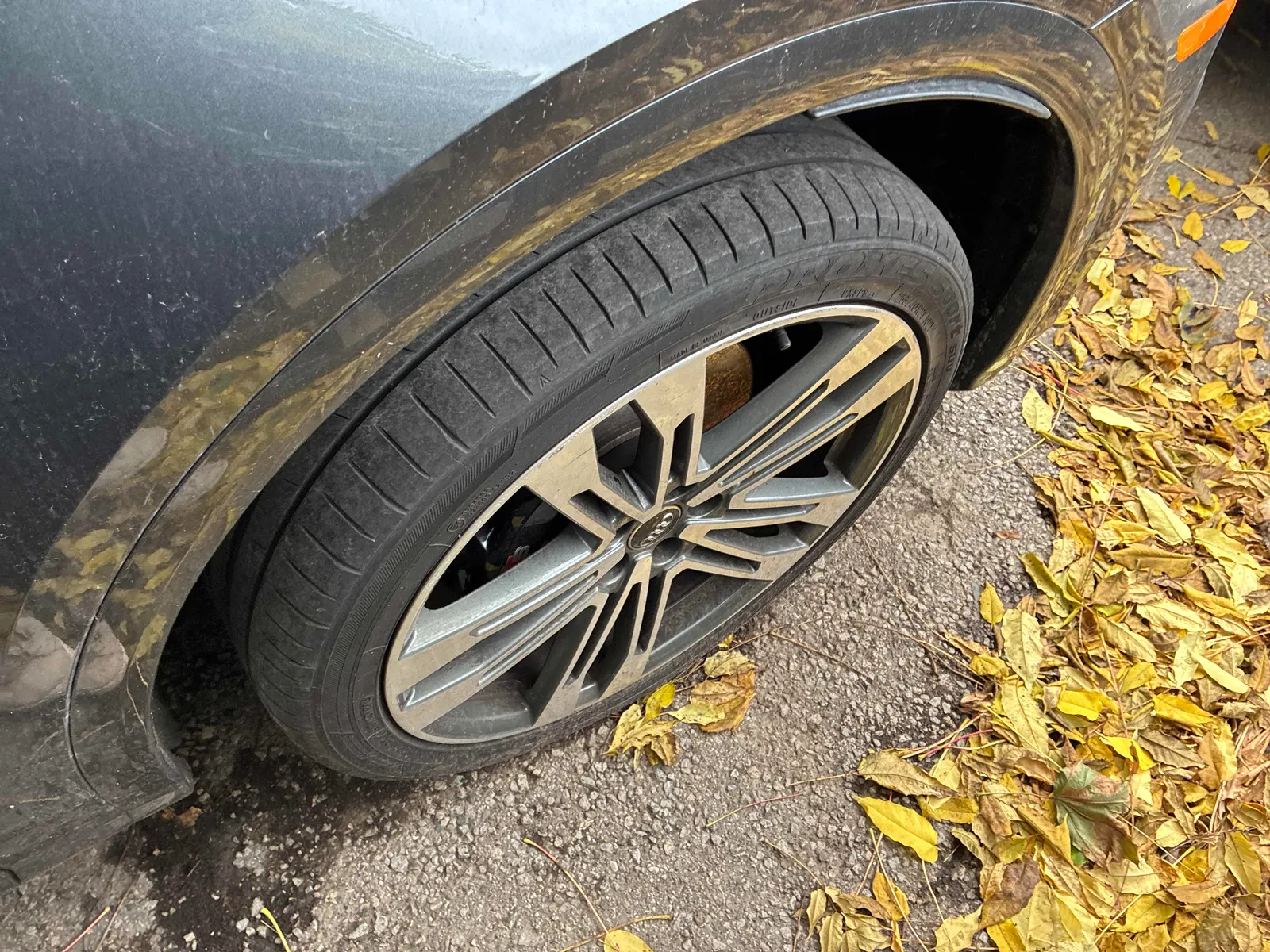 Tire