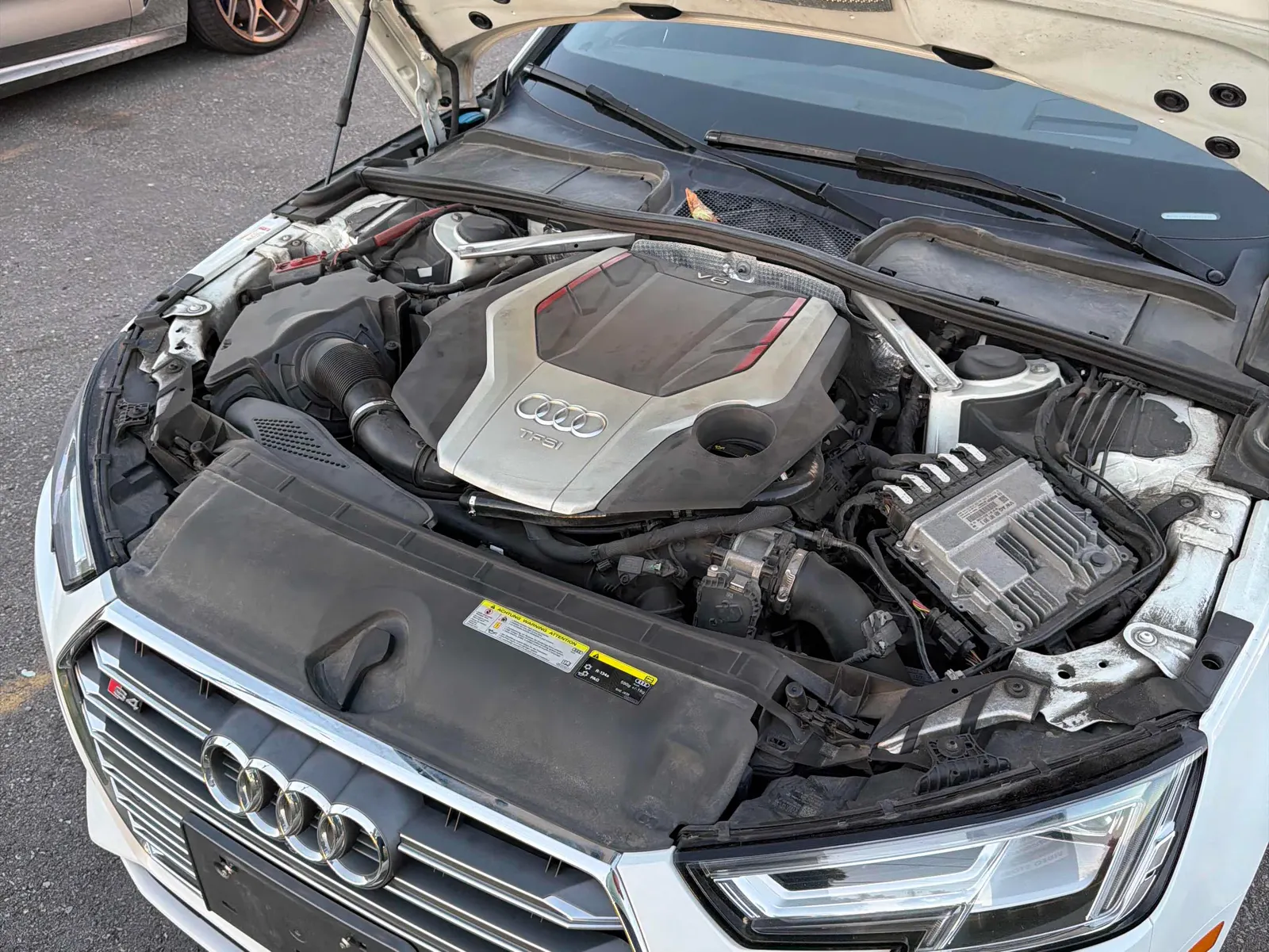 Additional Photo