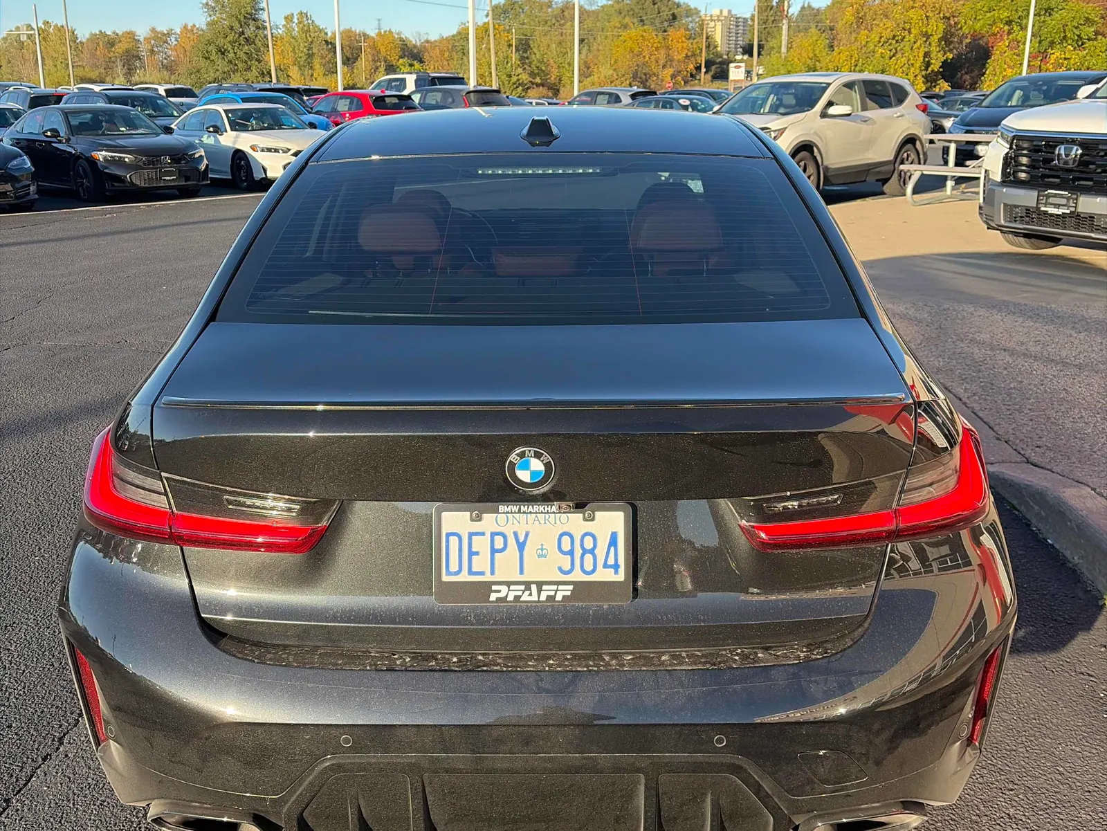 Back