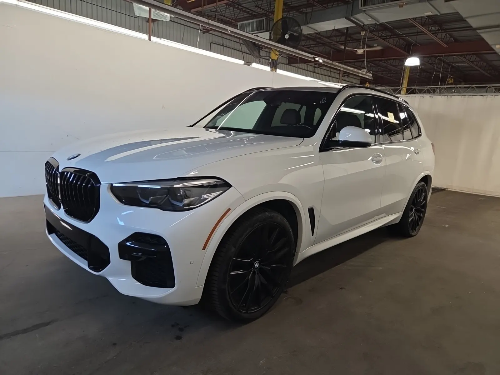 2023 BMW X5