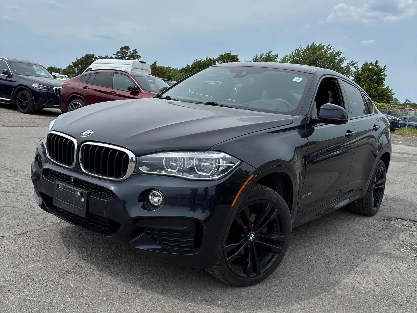 2019 BMW X6