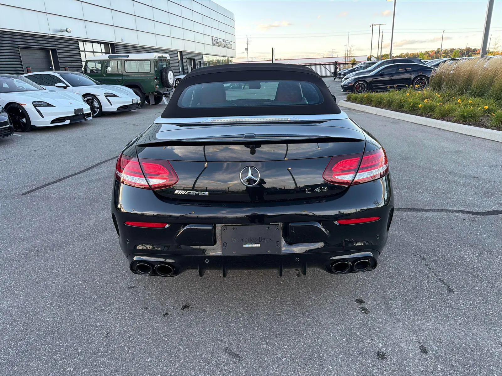 Back