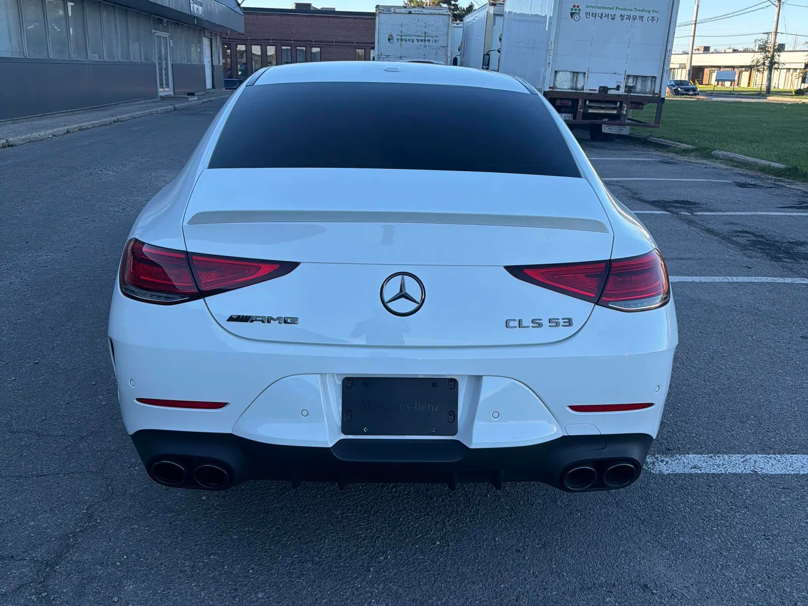 Back