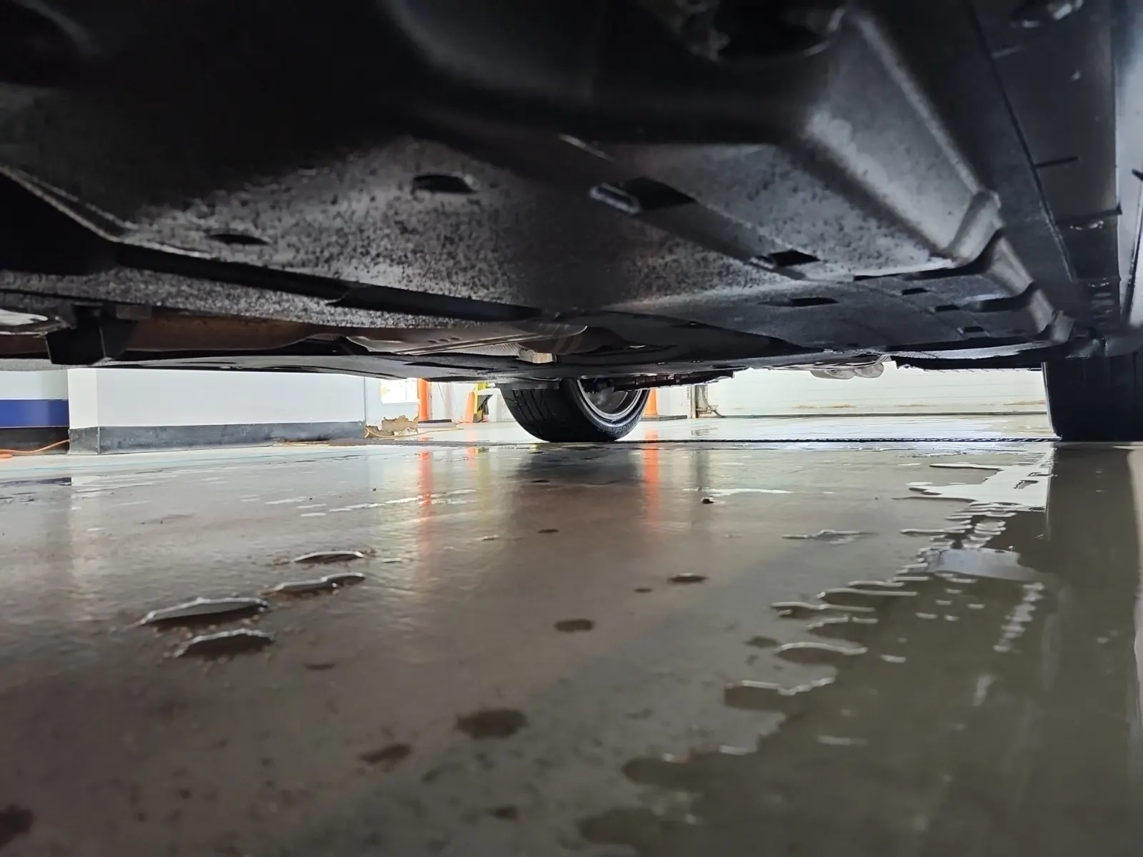 Undercarriage - Driver Photo