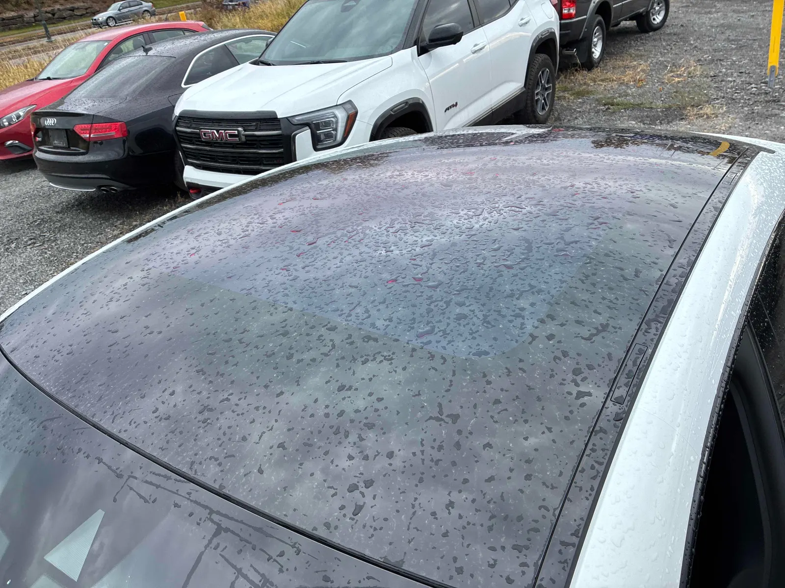 Additional Photo
