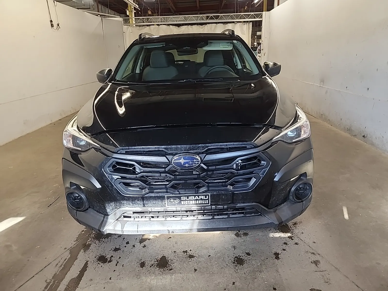 Full Front Photo