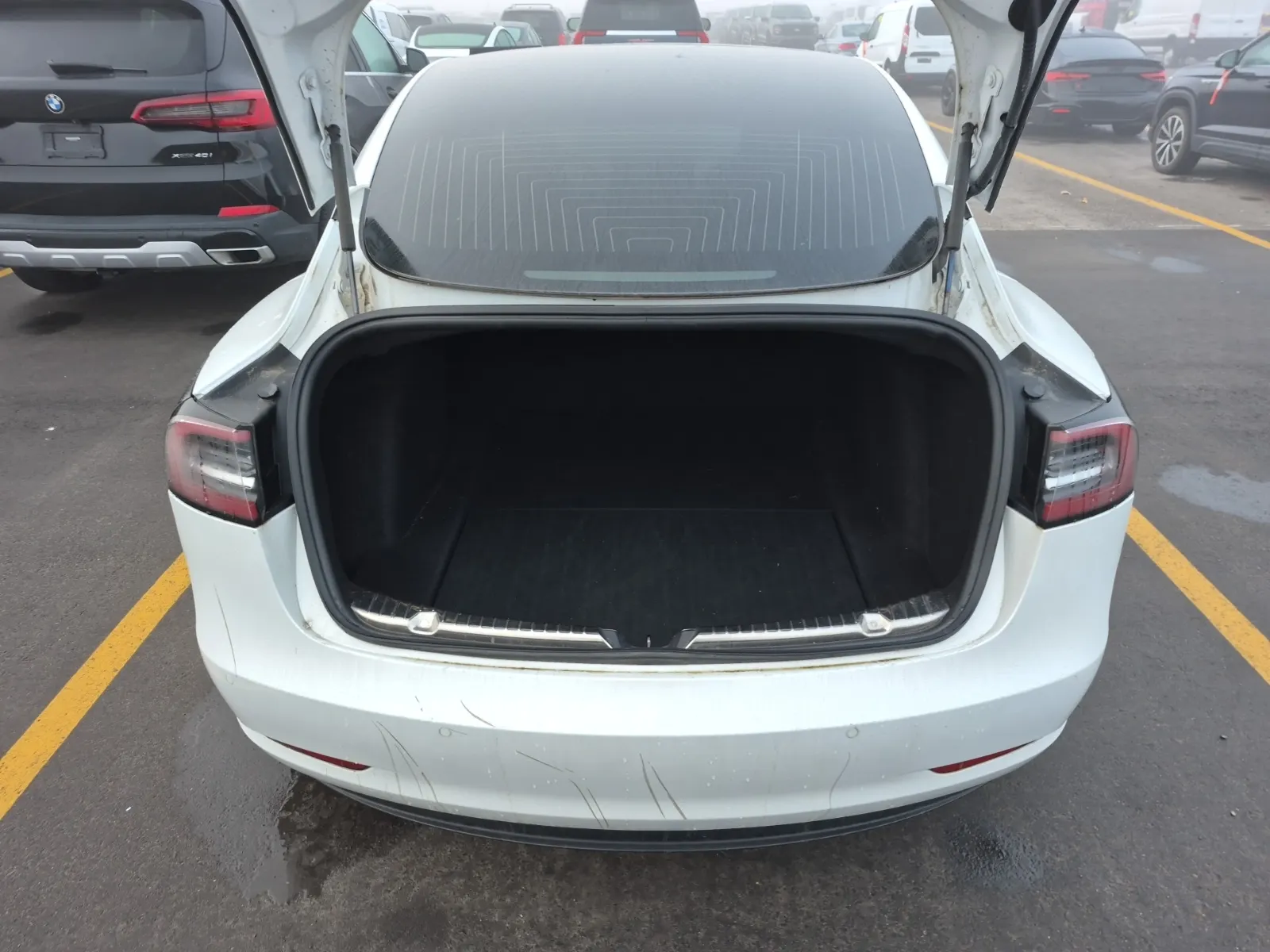 Cargo Area Photo