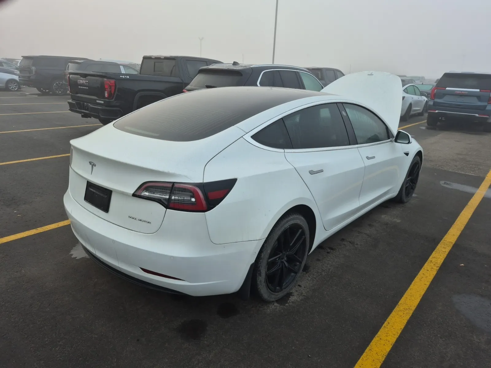 Passenger Rear 3/4 Photo