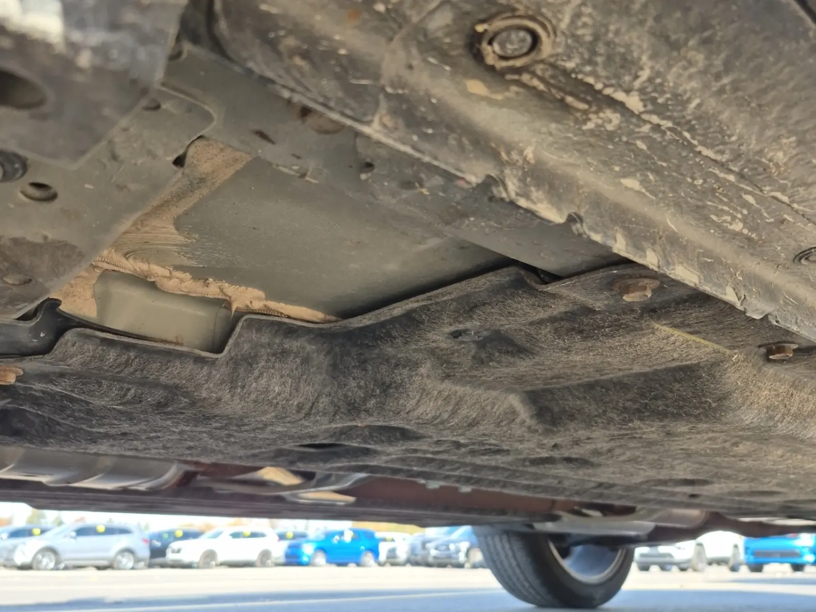 Undercarriage - Driver Photo