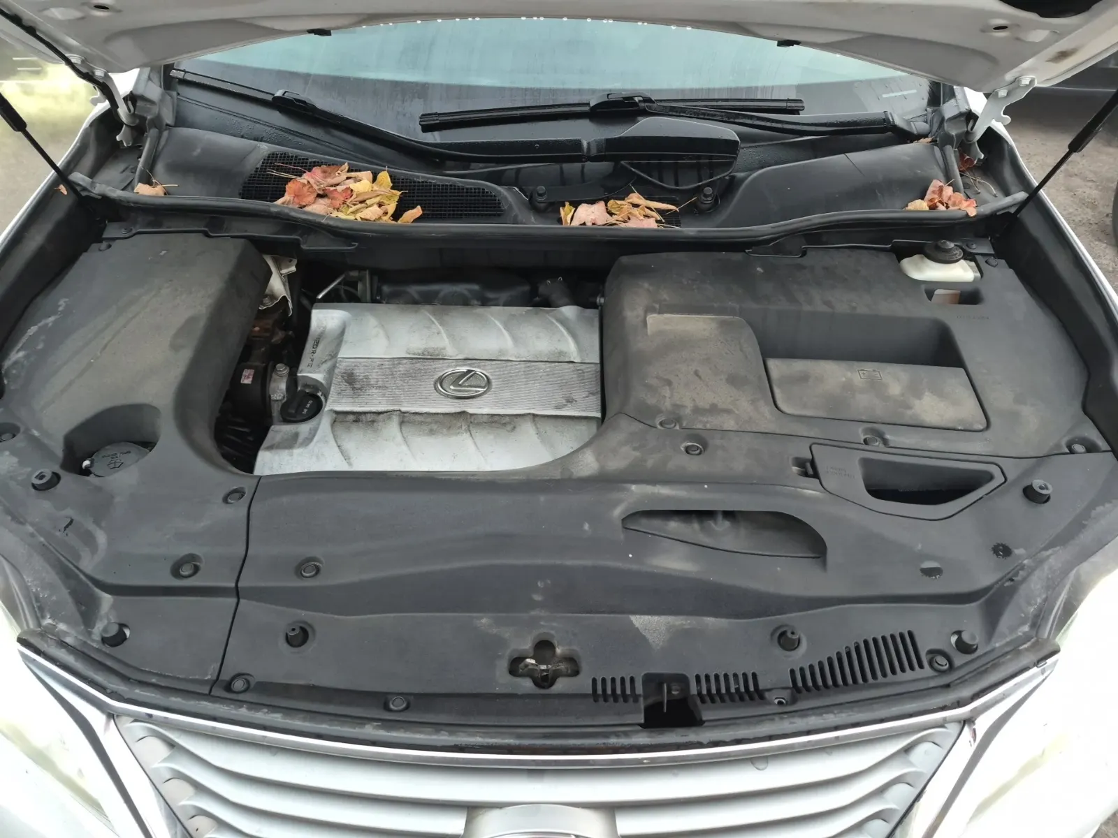 Engine Photo
