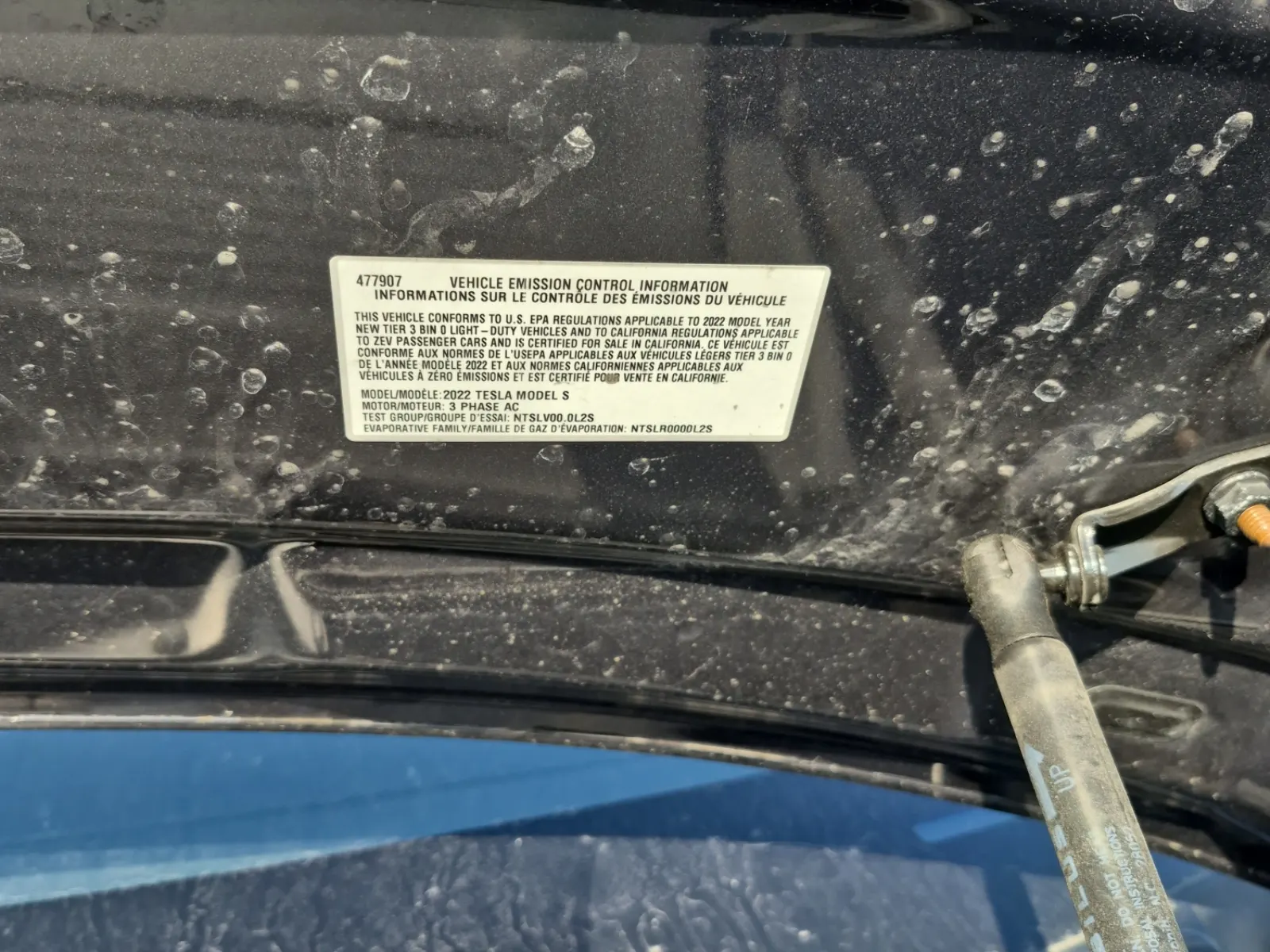 Emission Sticker Photo