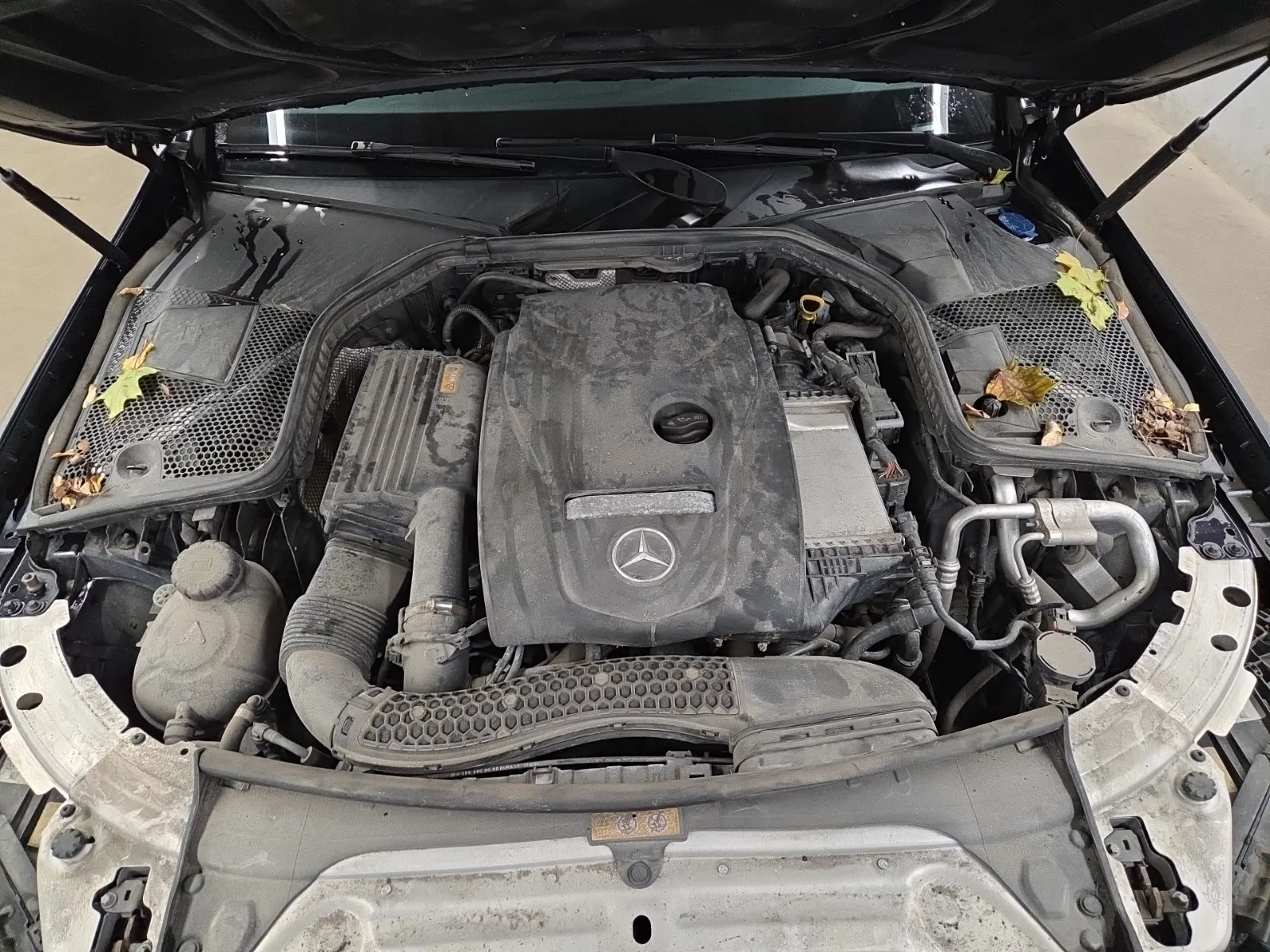 Engine Photo