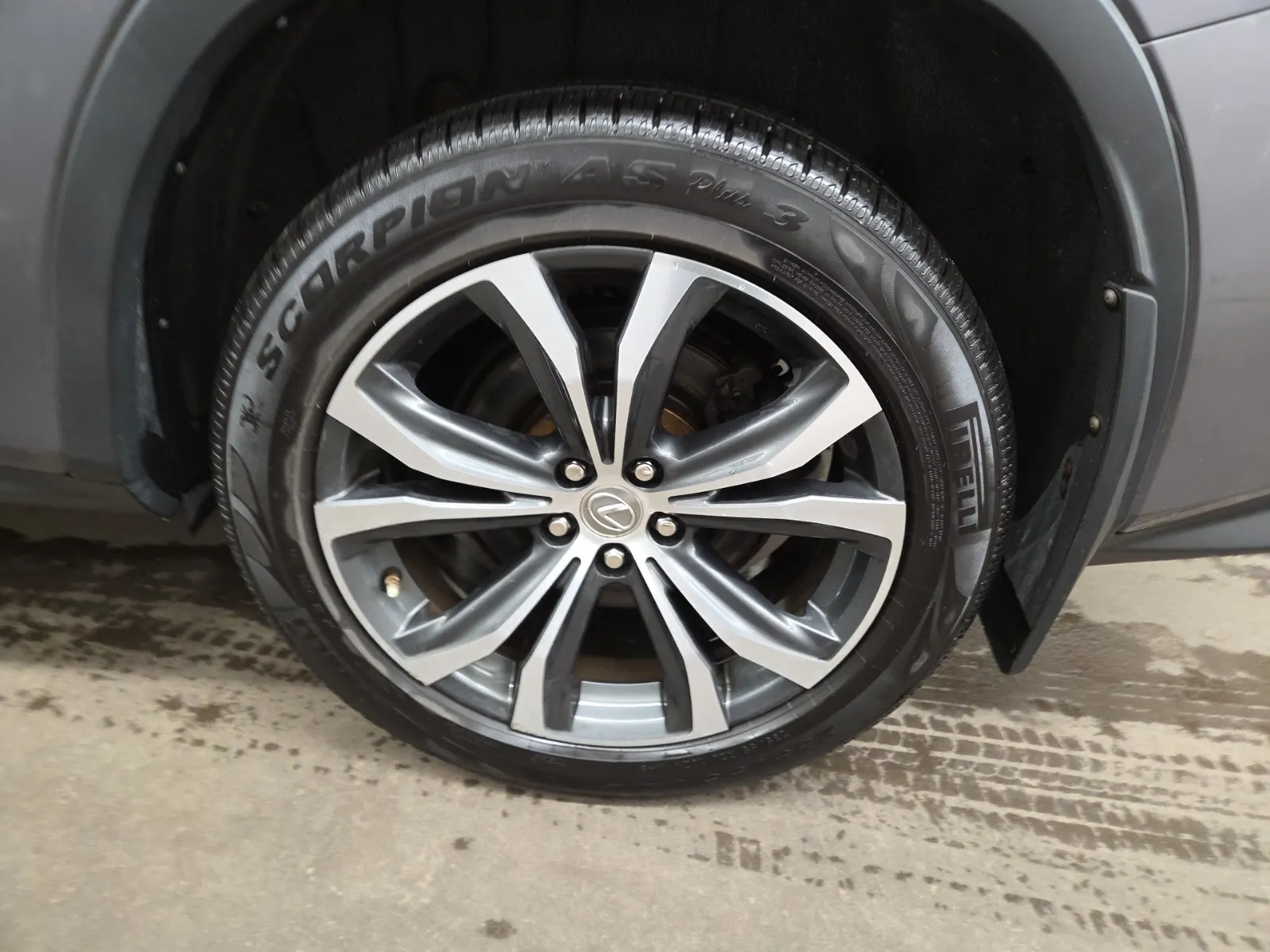 Left Rear Wheel/Tire Photo