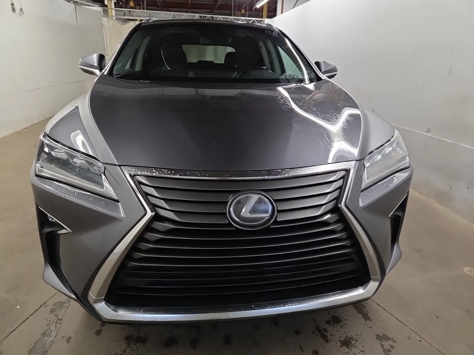 Full Front Photo