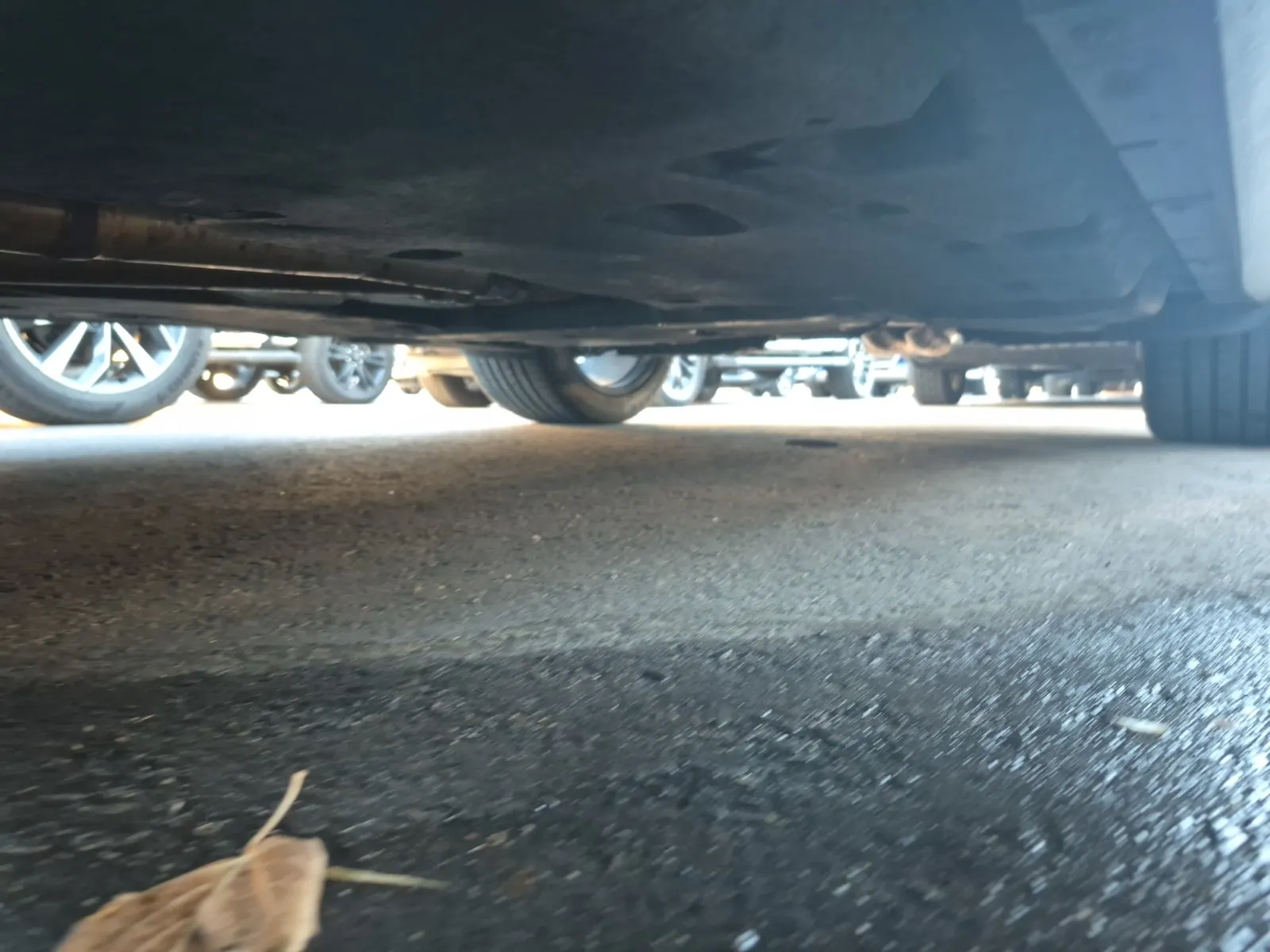 Undercarriage - Driver Photo