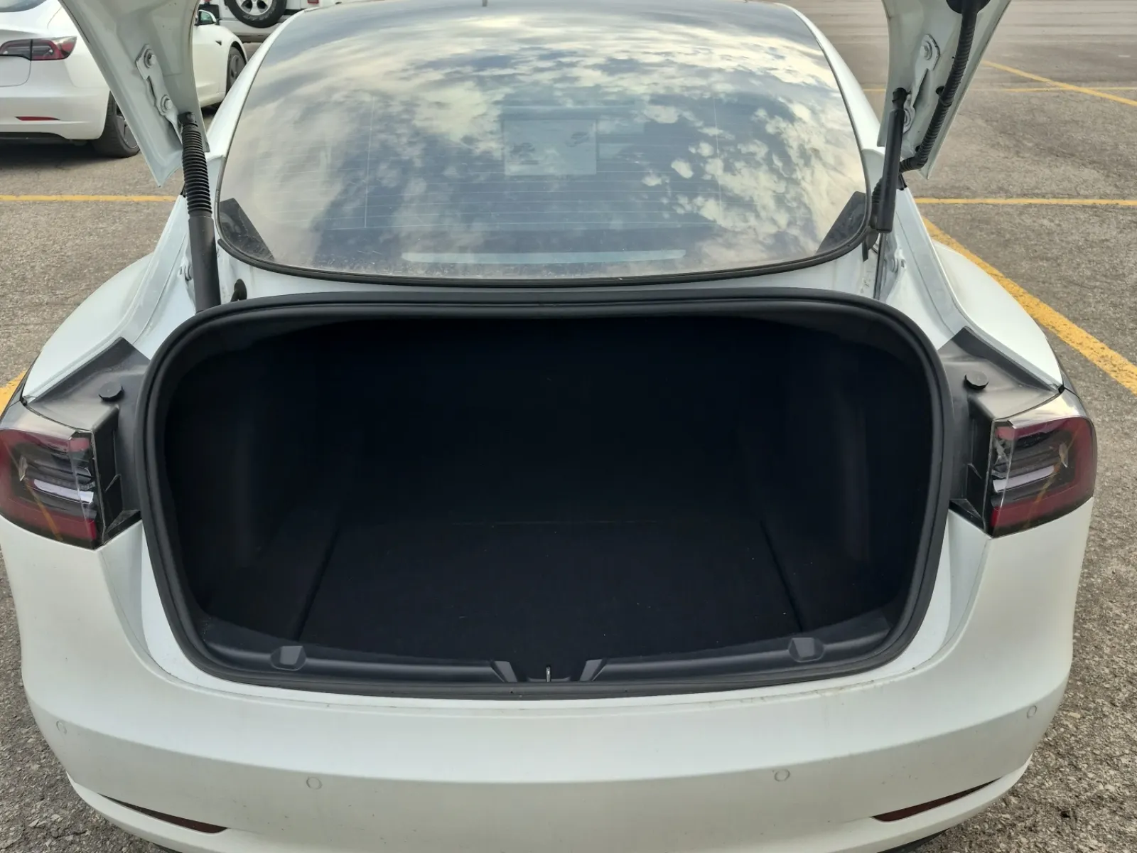 Cargo Area Photo