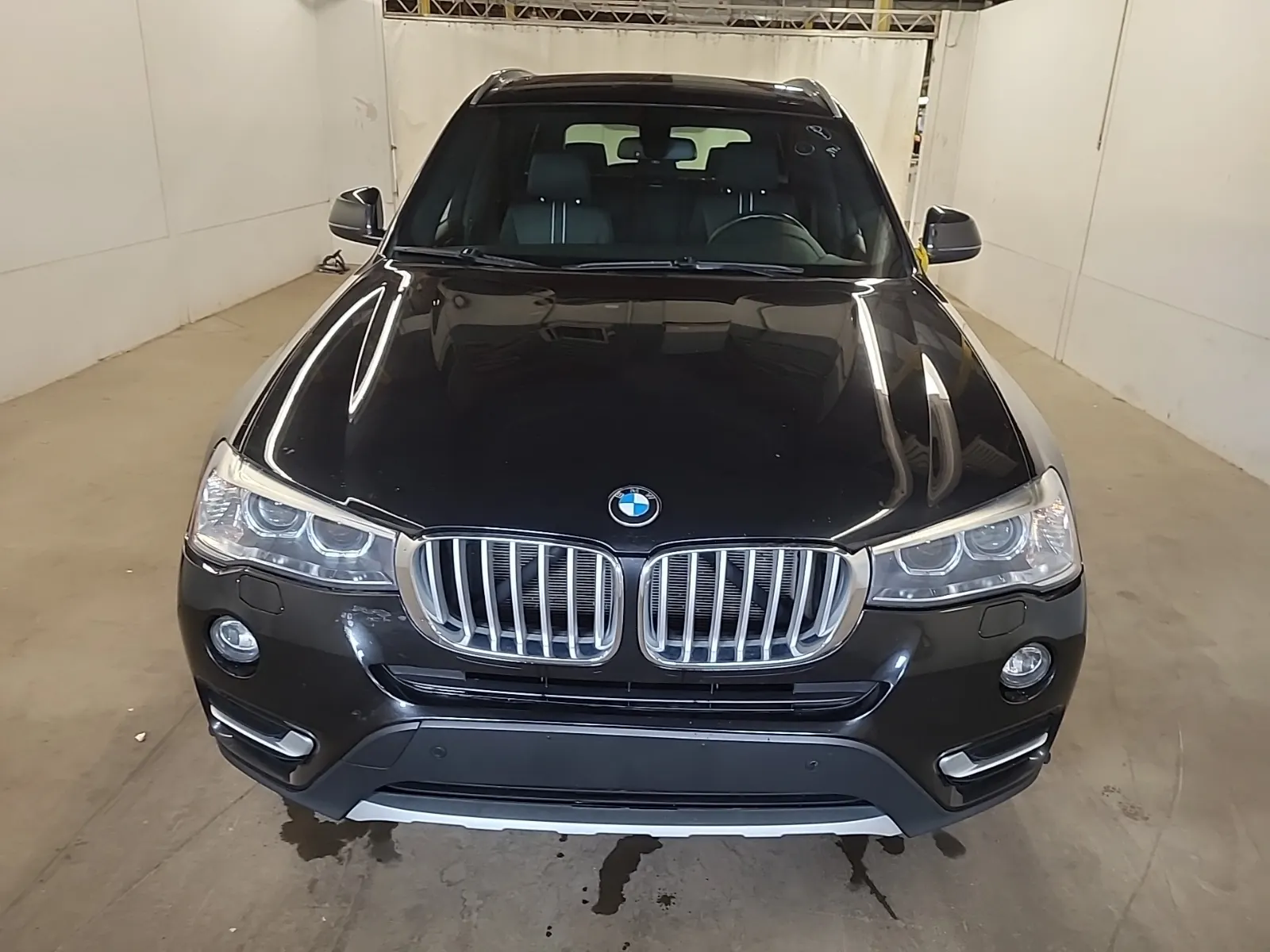 Full Front Photo