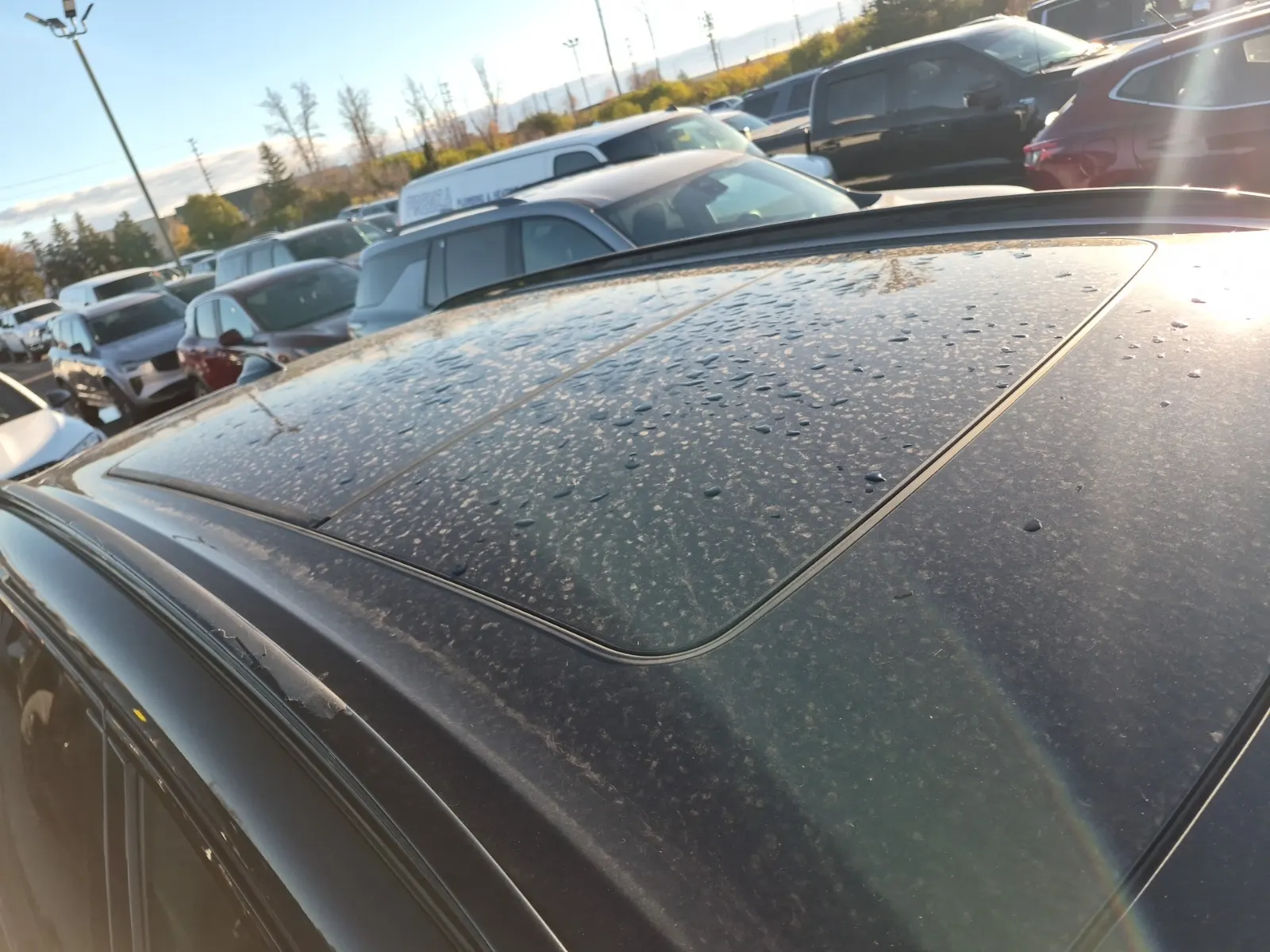 Exterior Roof Photo
