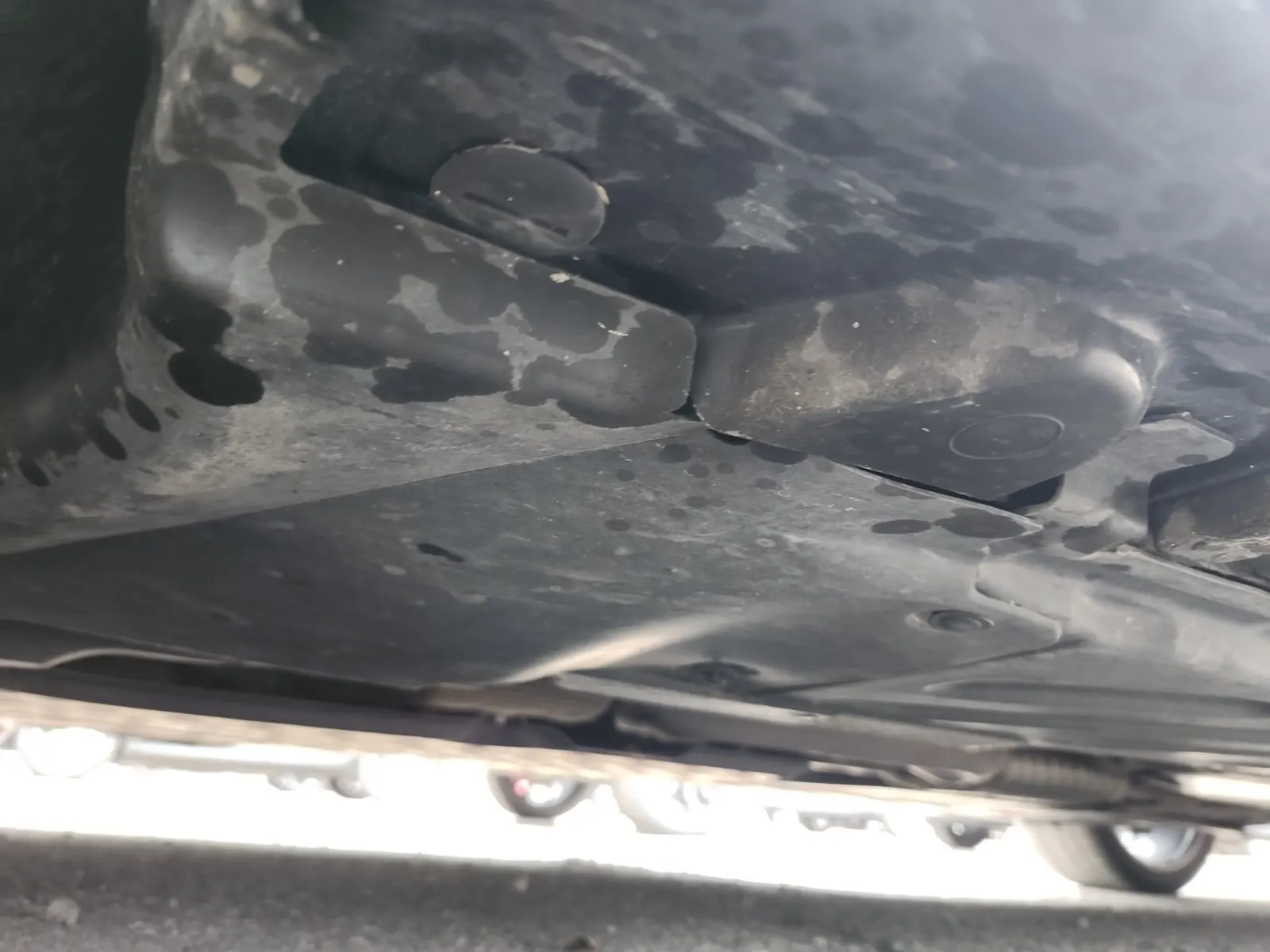 Undercarriage - Driver Photo