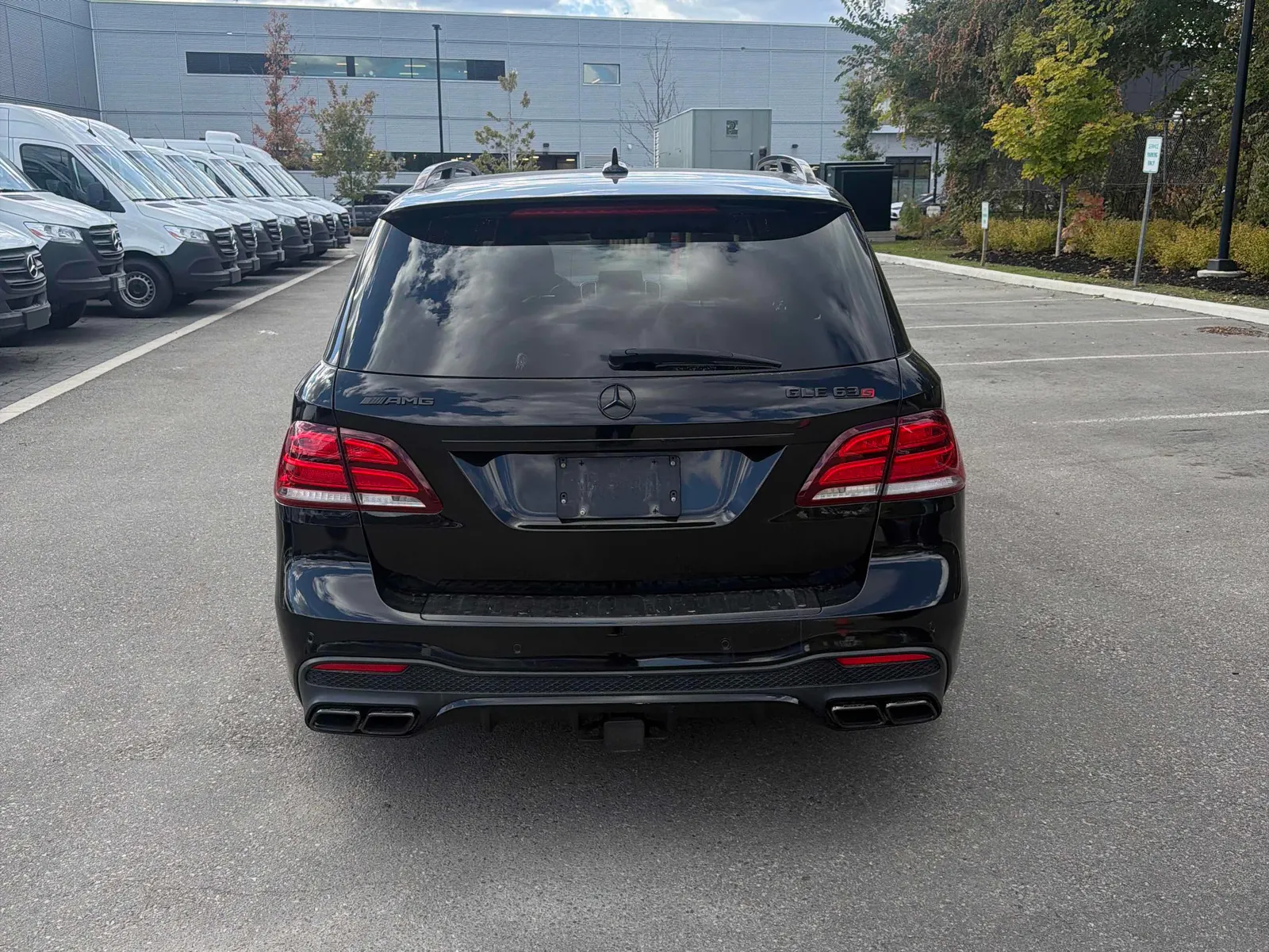 Back