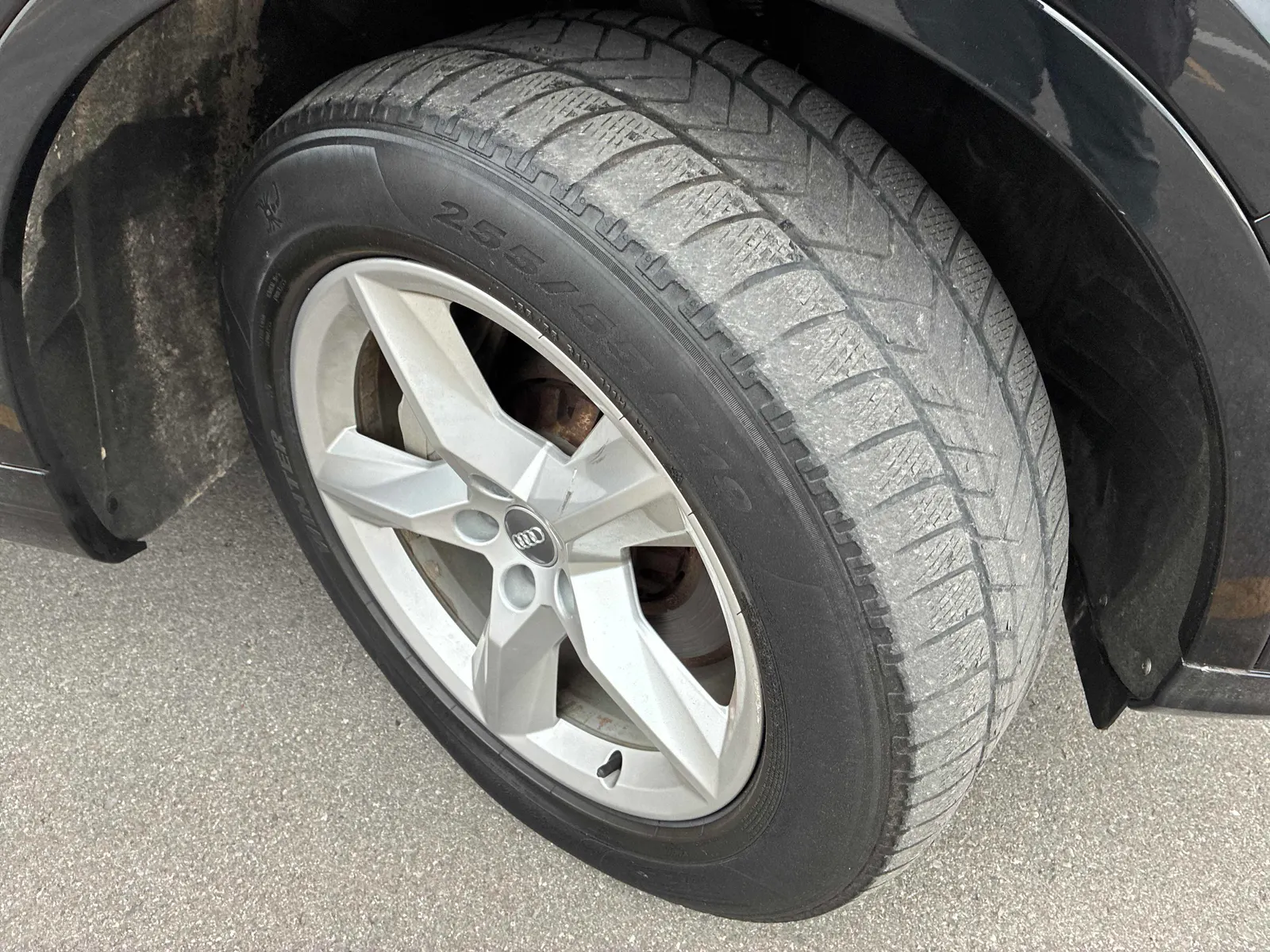 Tire