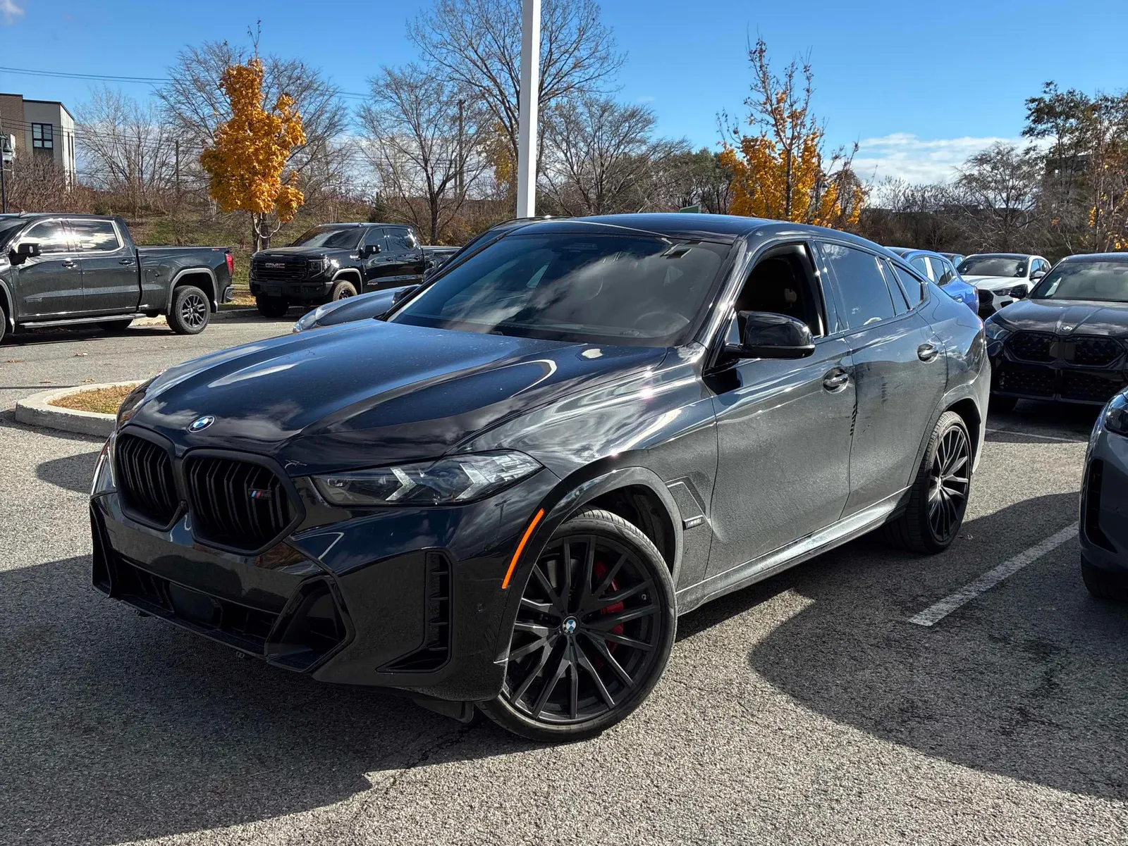2025 BMW X6