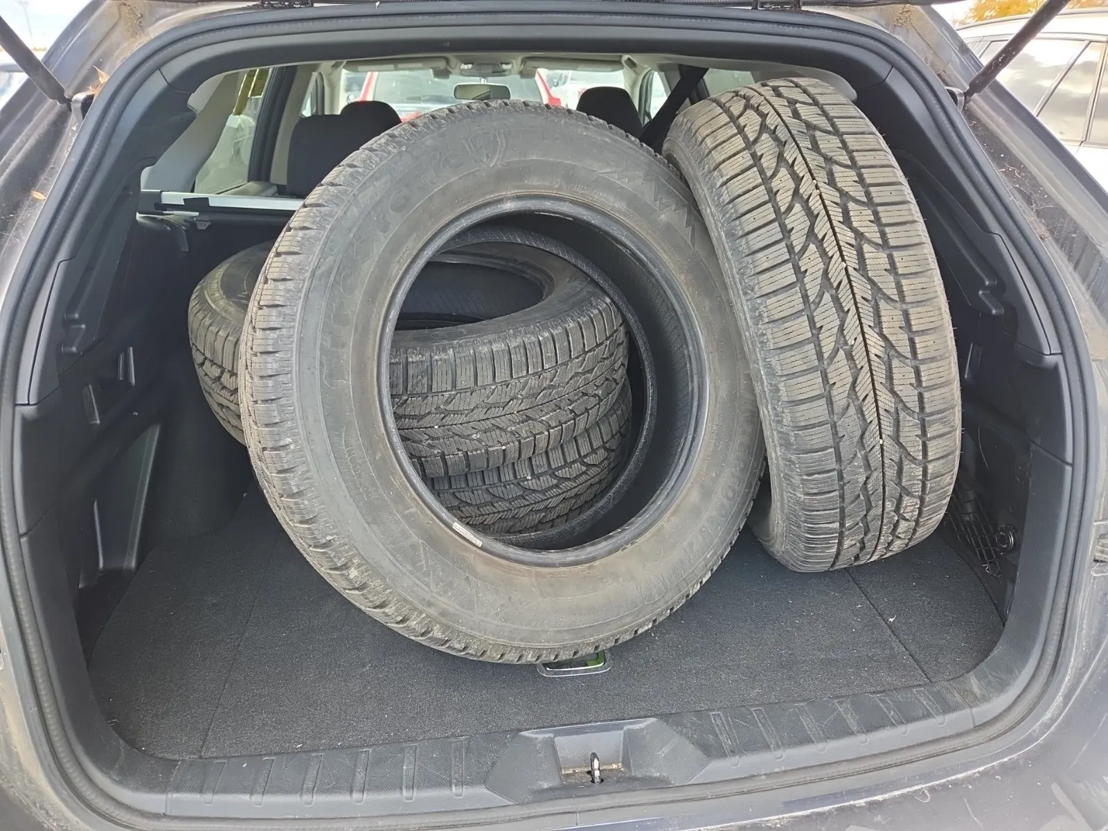 Cargo Area Photo