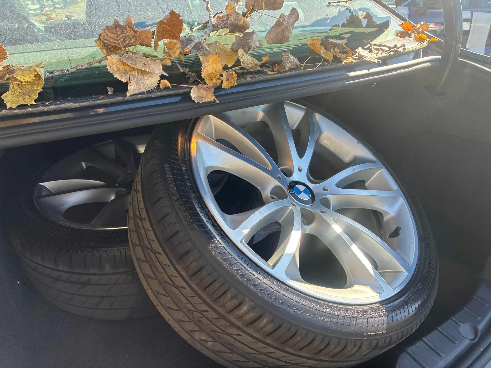 Additional Photo