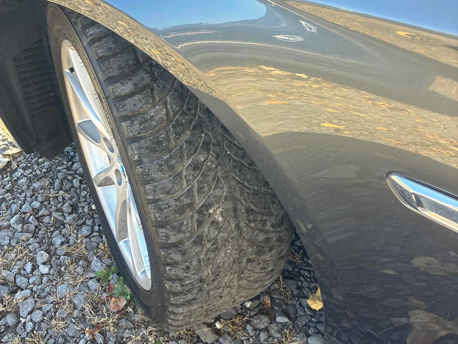 Additional Photo