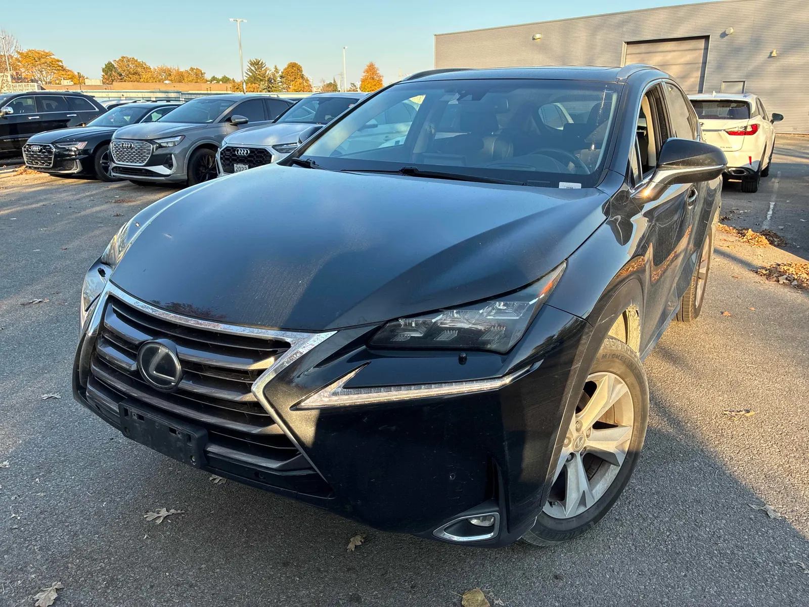 2016 Lexus NX 200t