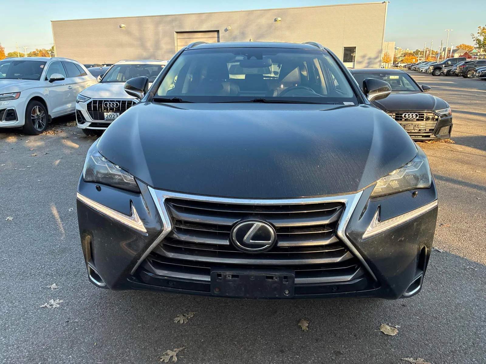 Front